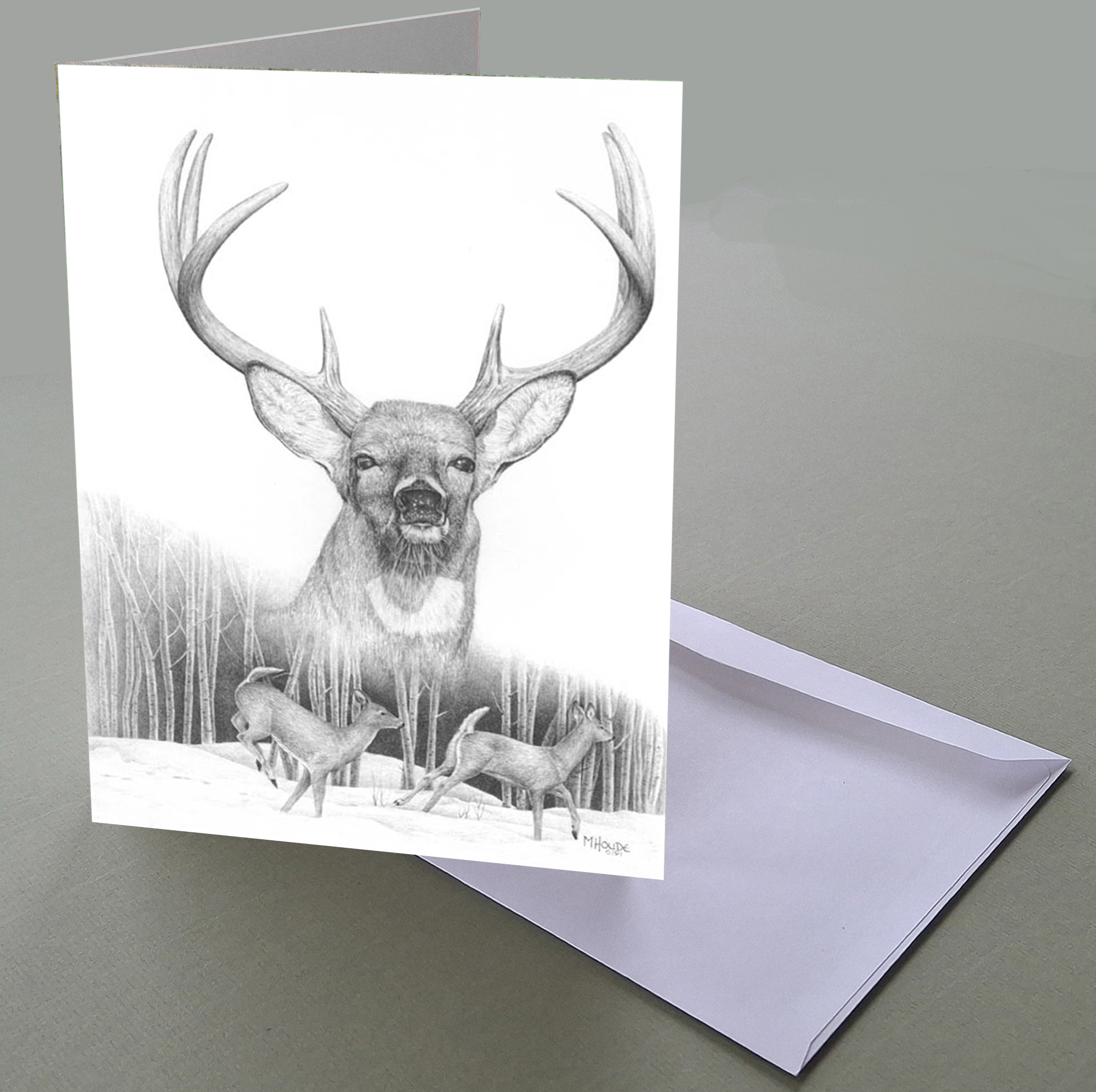 "Whitetail" - Art Card