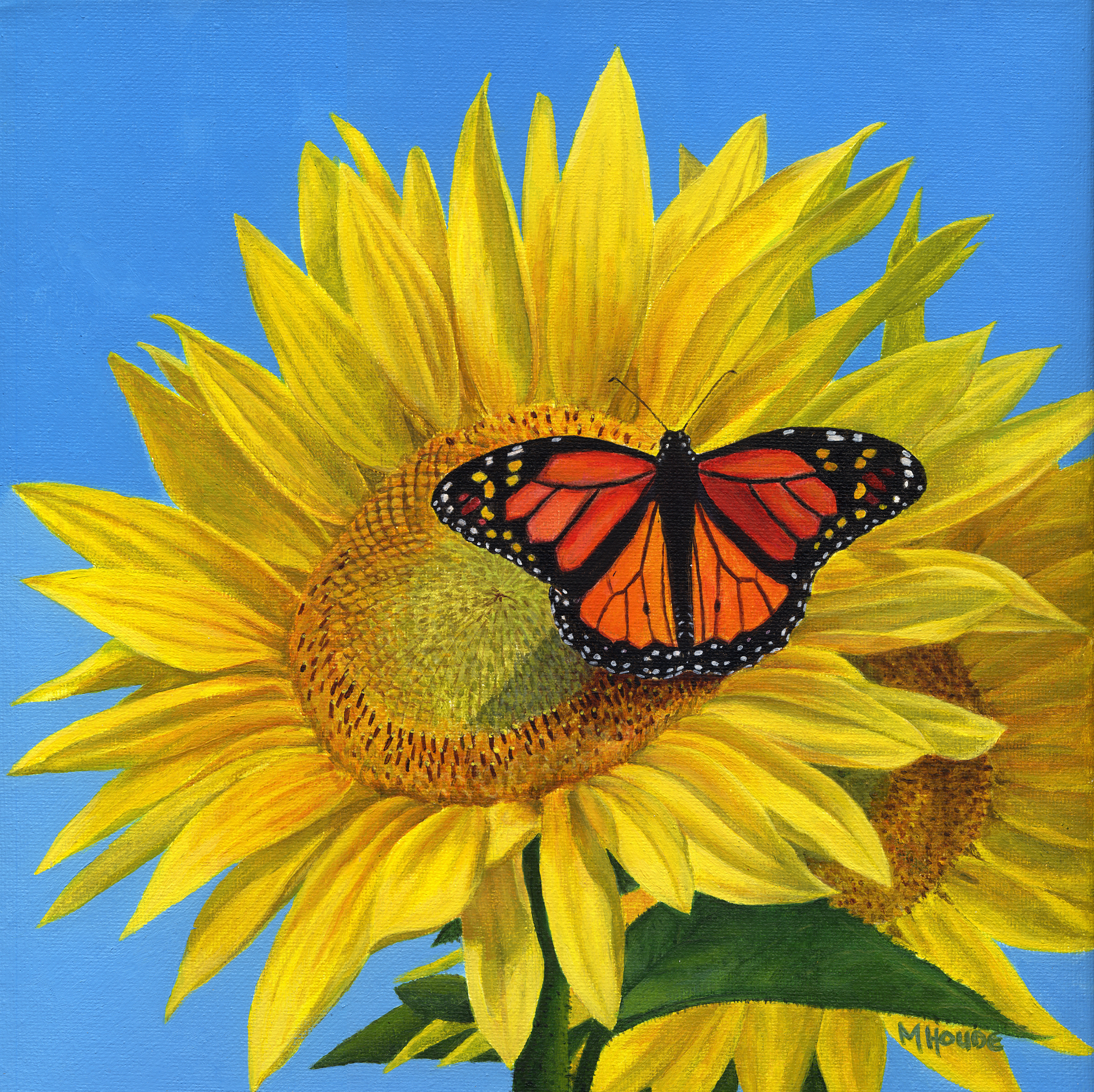 "Butterfly in the Sunflower" - Artist Print