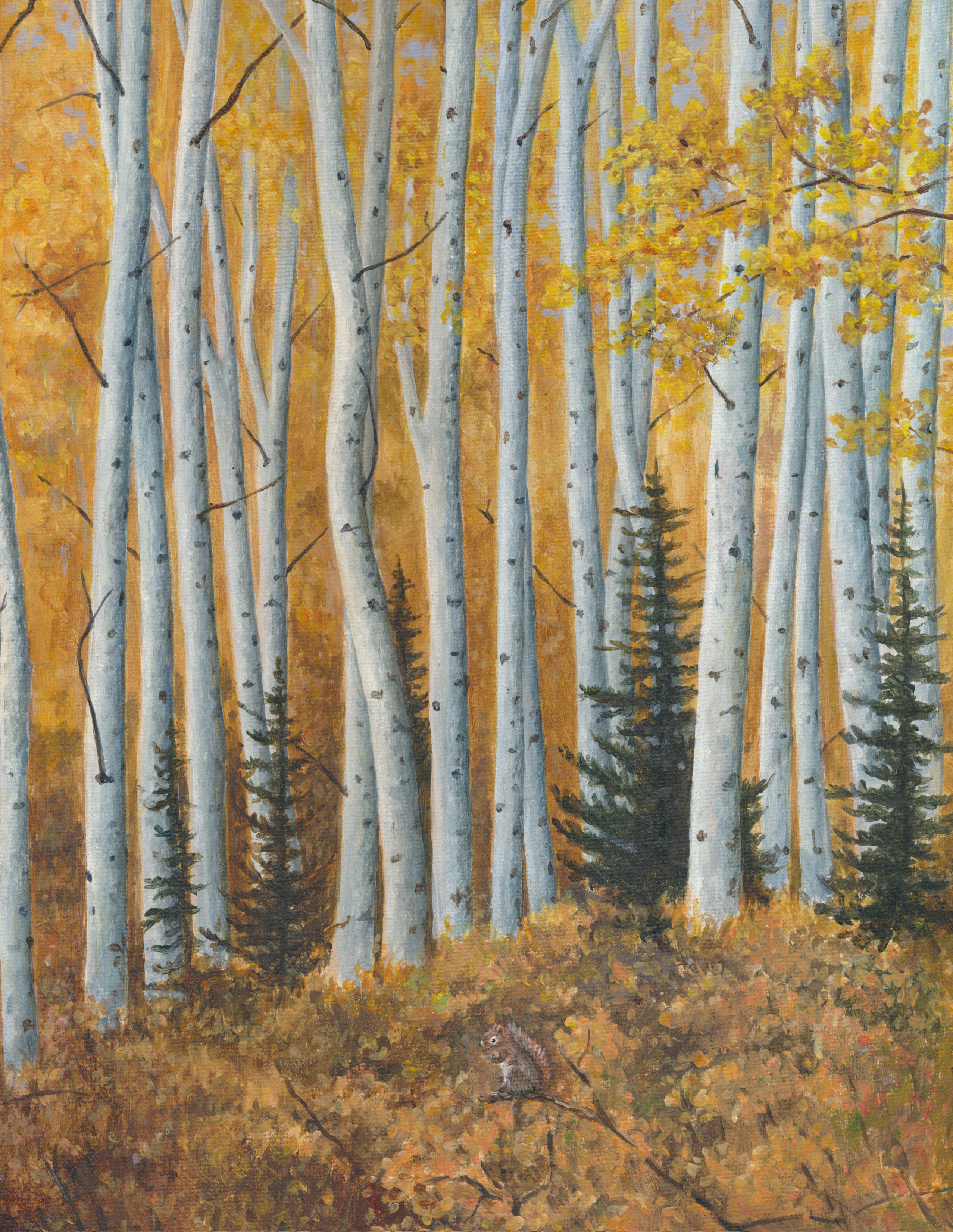 "Conifers in Birch - fall" - Art Card