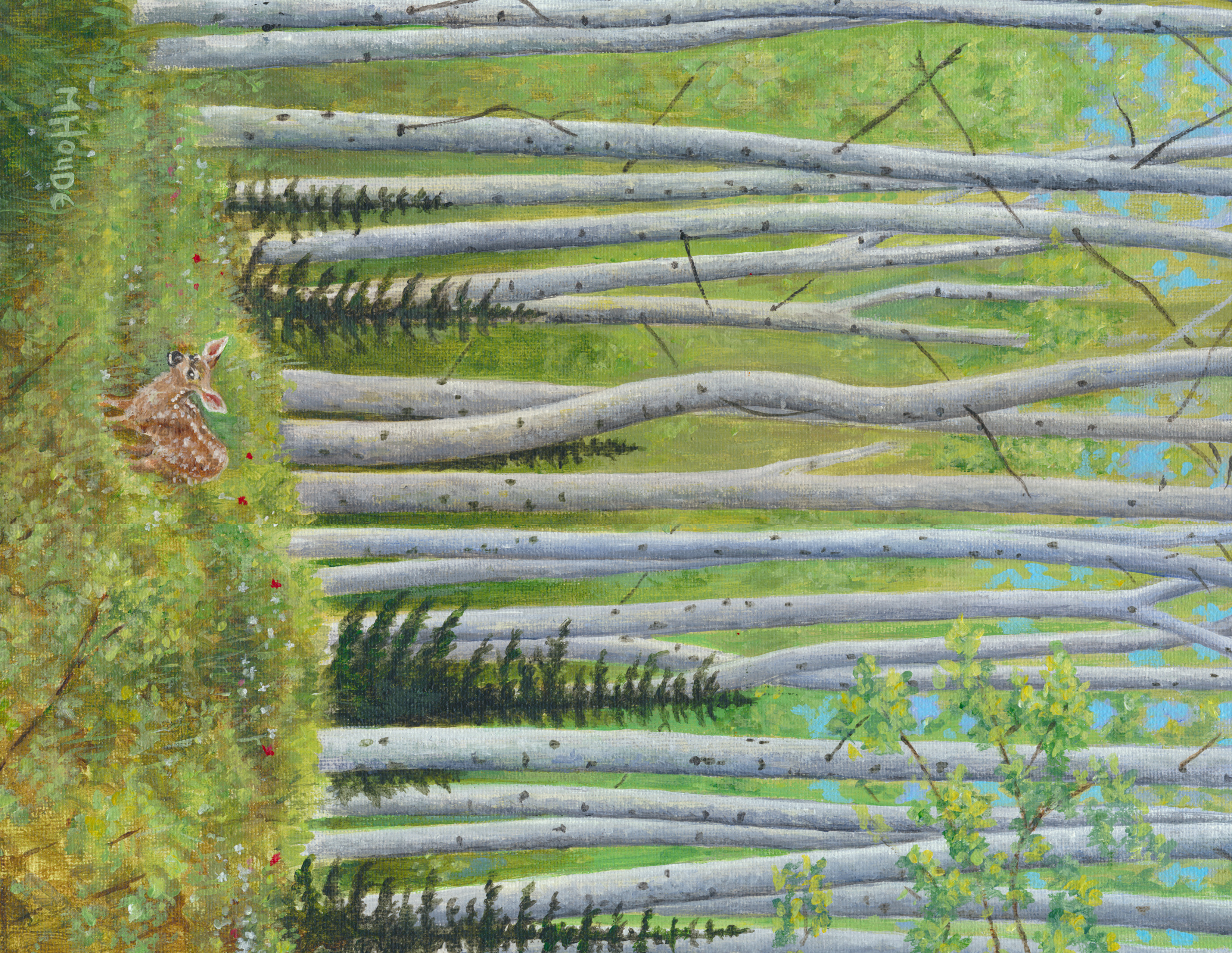 "Conifers in Birch - Spring" - Art Card