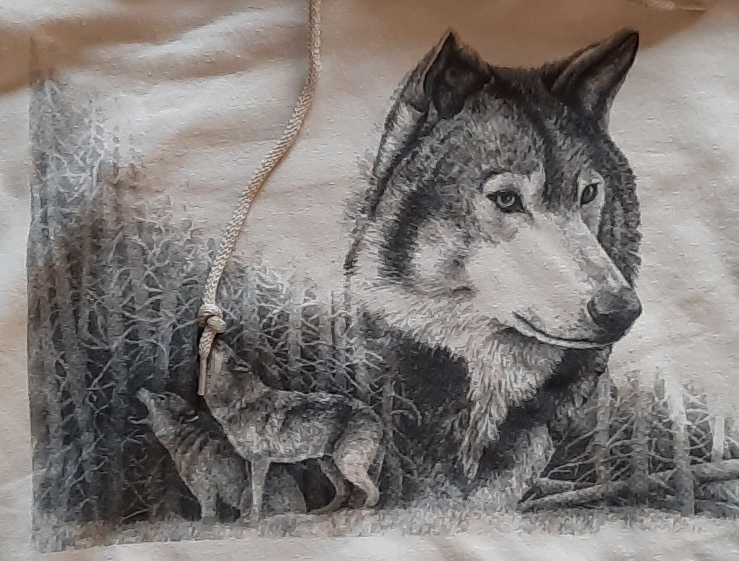 Hoodie - Wolf Spirit