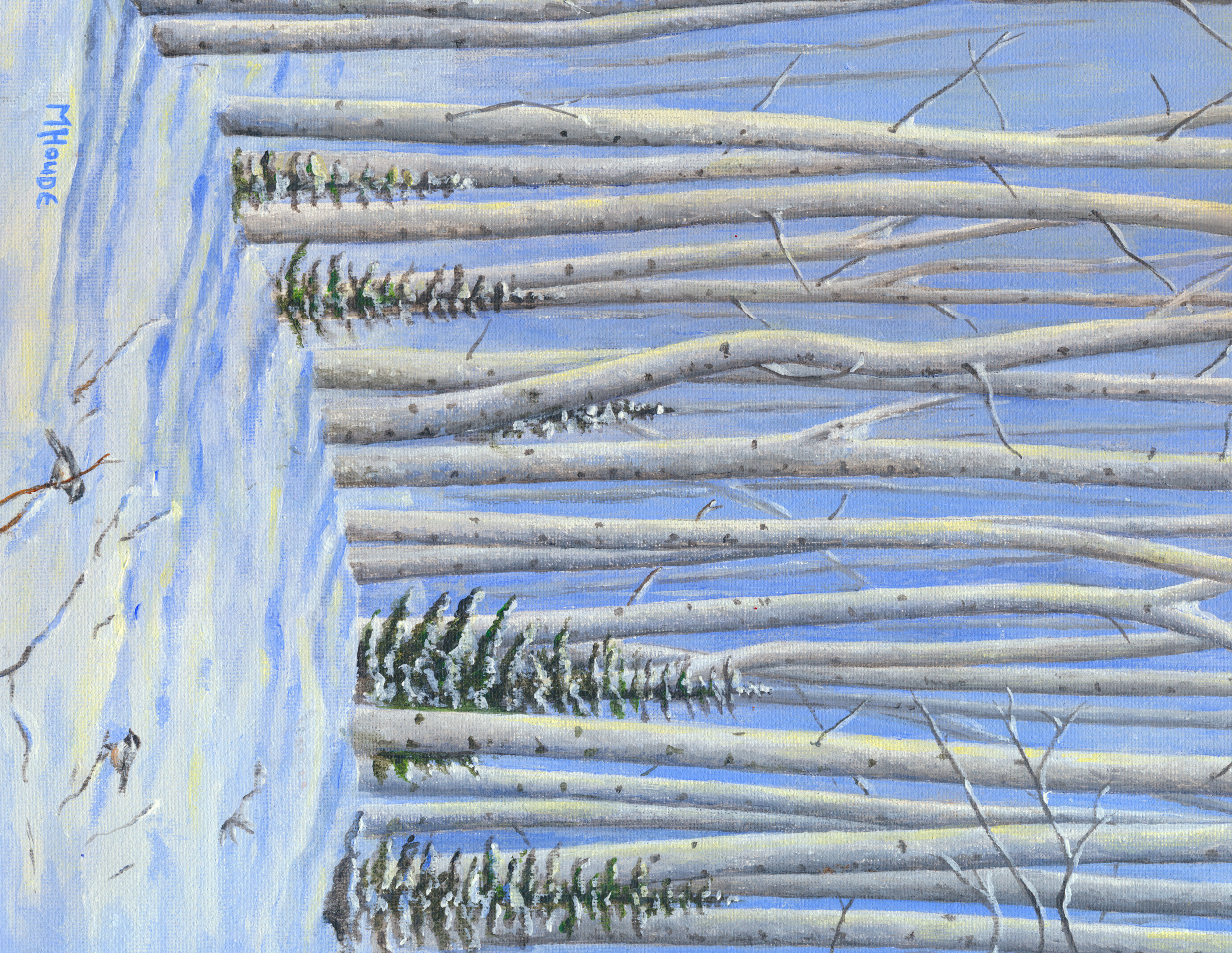 "Conifers in Birch - Winter" - Art Card