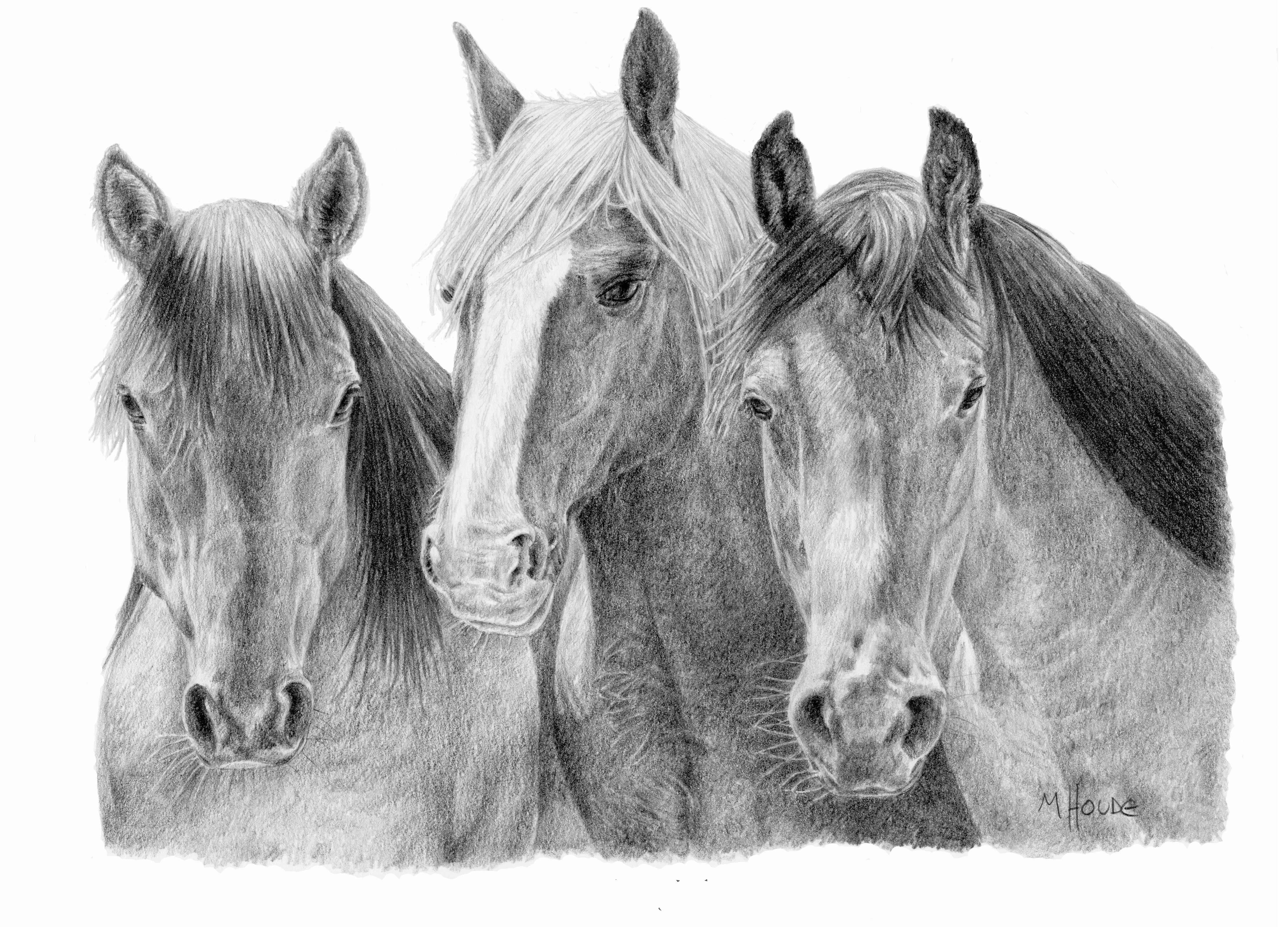 "The Girls" - Artist Print