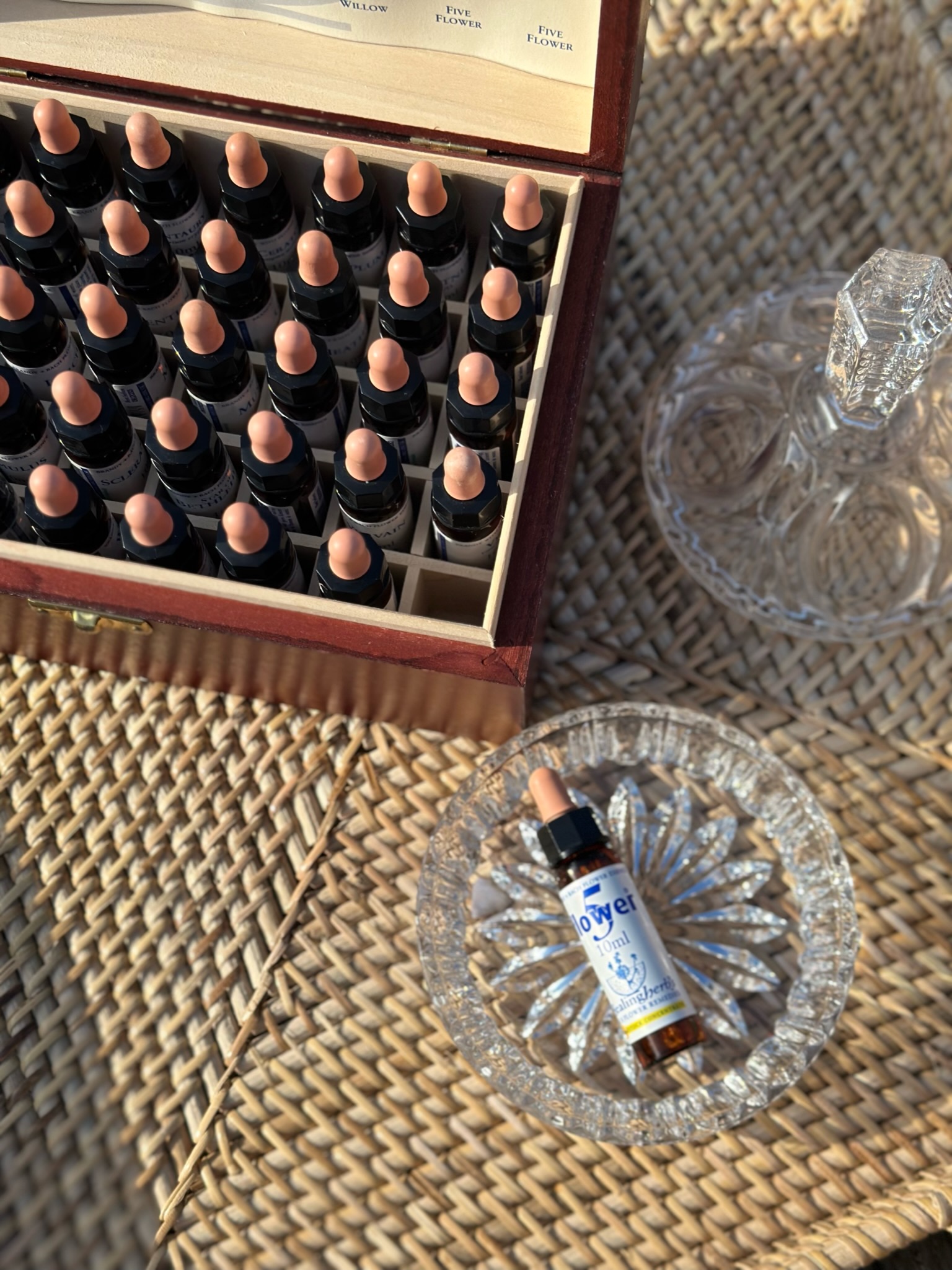 Bacho žiedų konsultacija