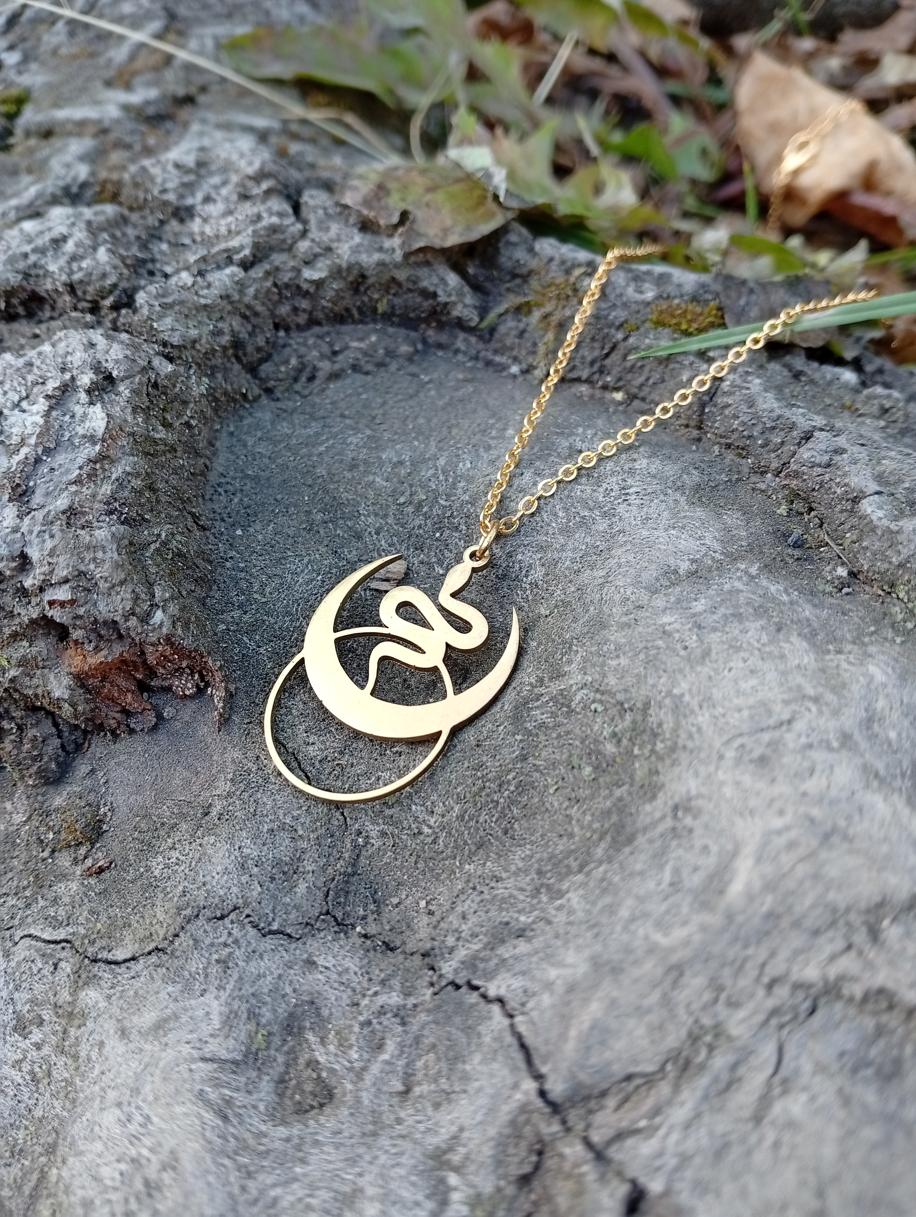 Edelstahlhalskette "Mondschlange"