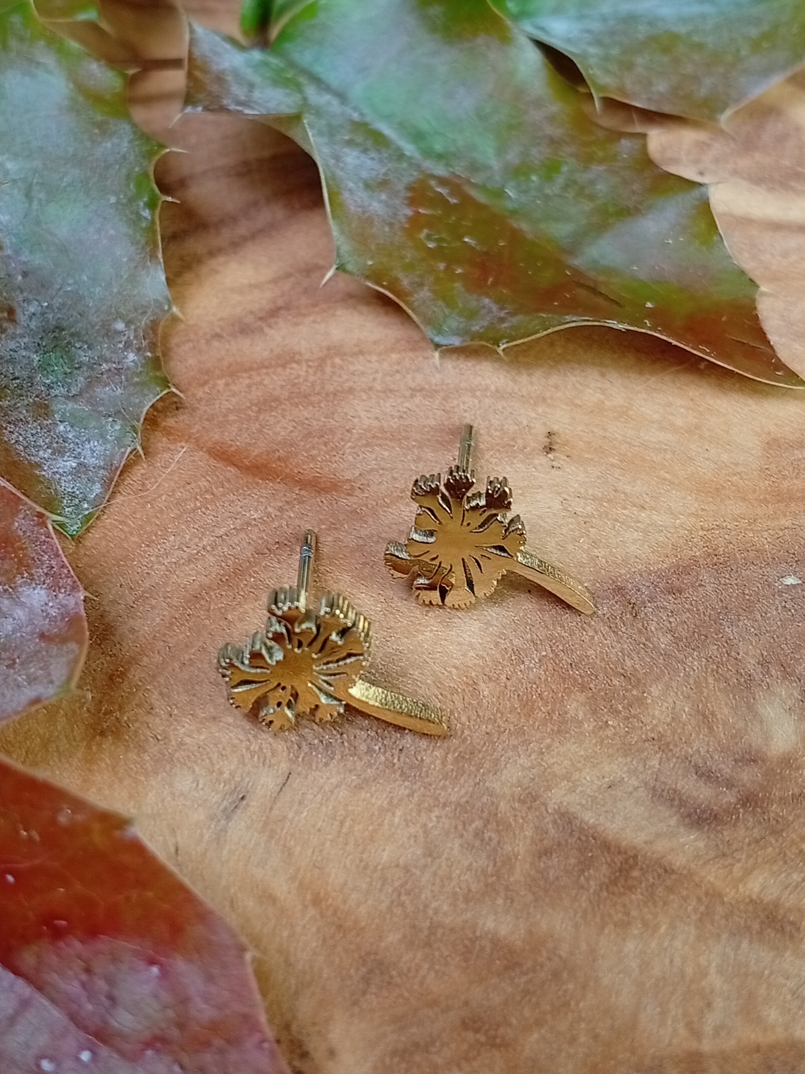 Pusteblumen Ohrstecker 