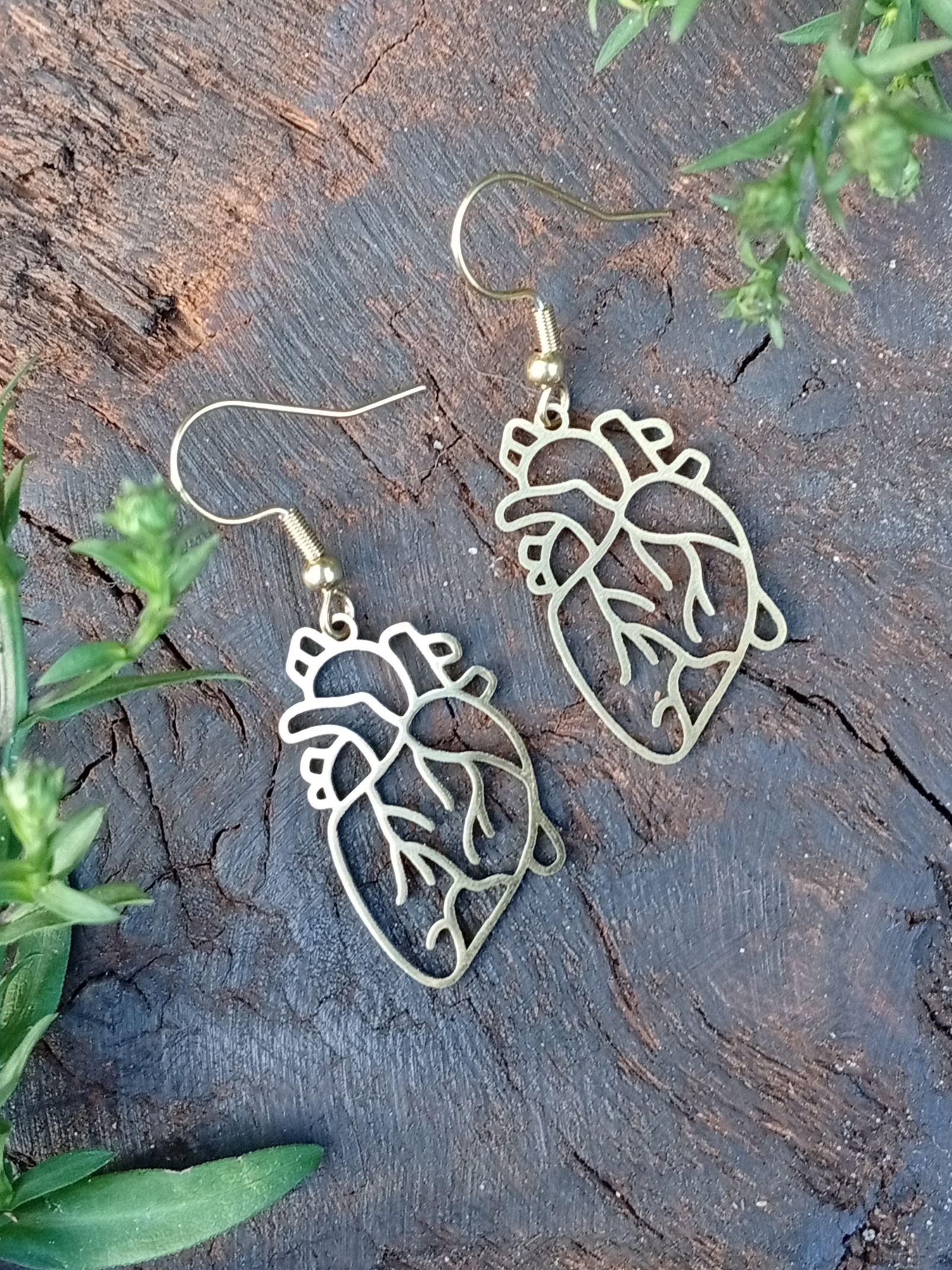 Anatomisches Herz Ohrringe