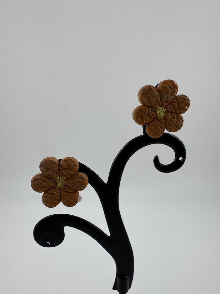 Brown Flower-Shaped Earrings
