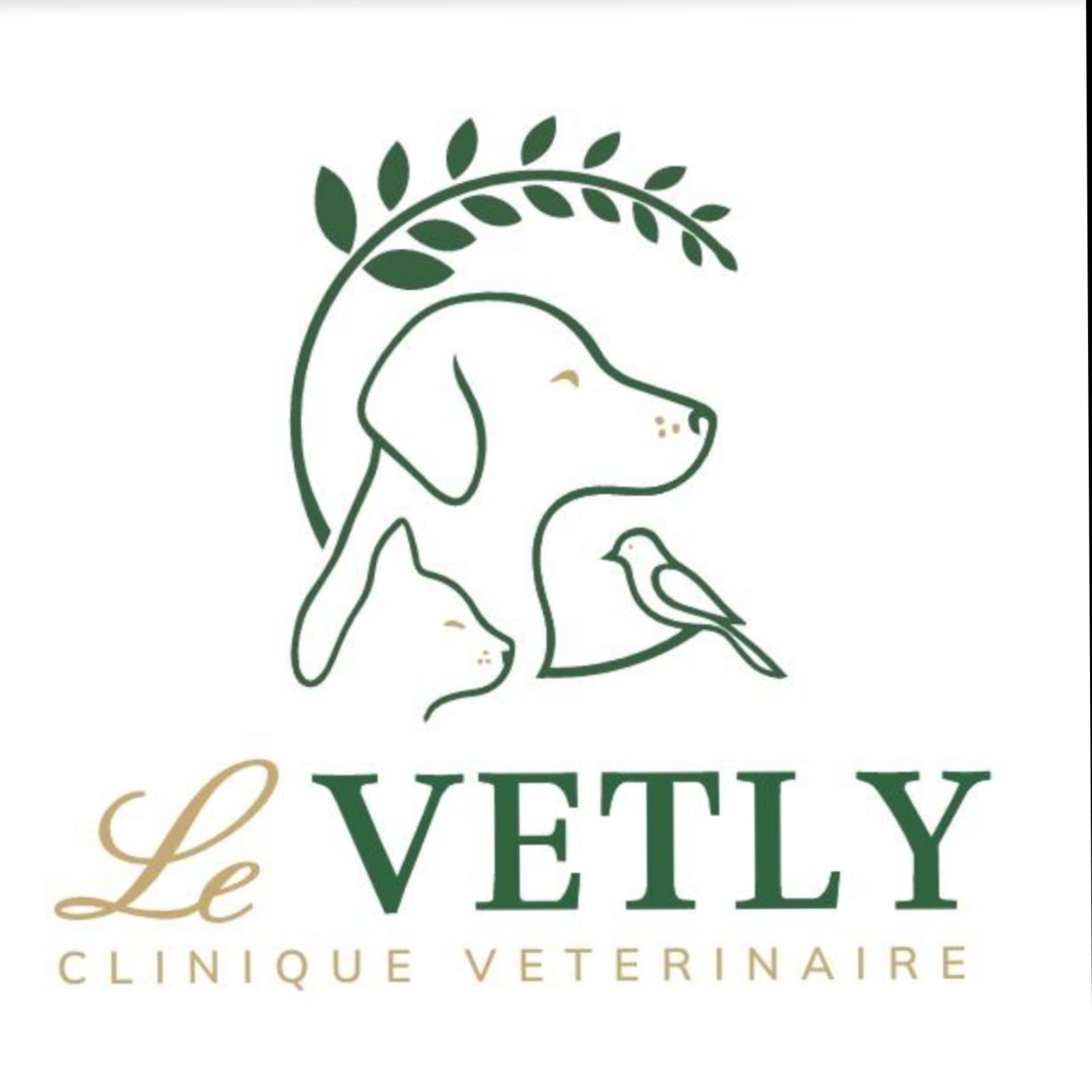 Le Vetly - Zalqa