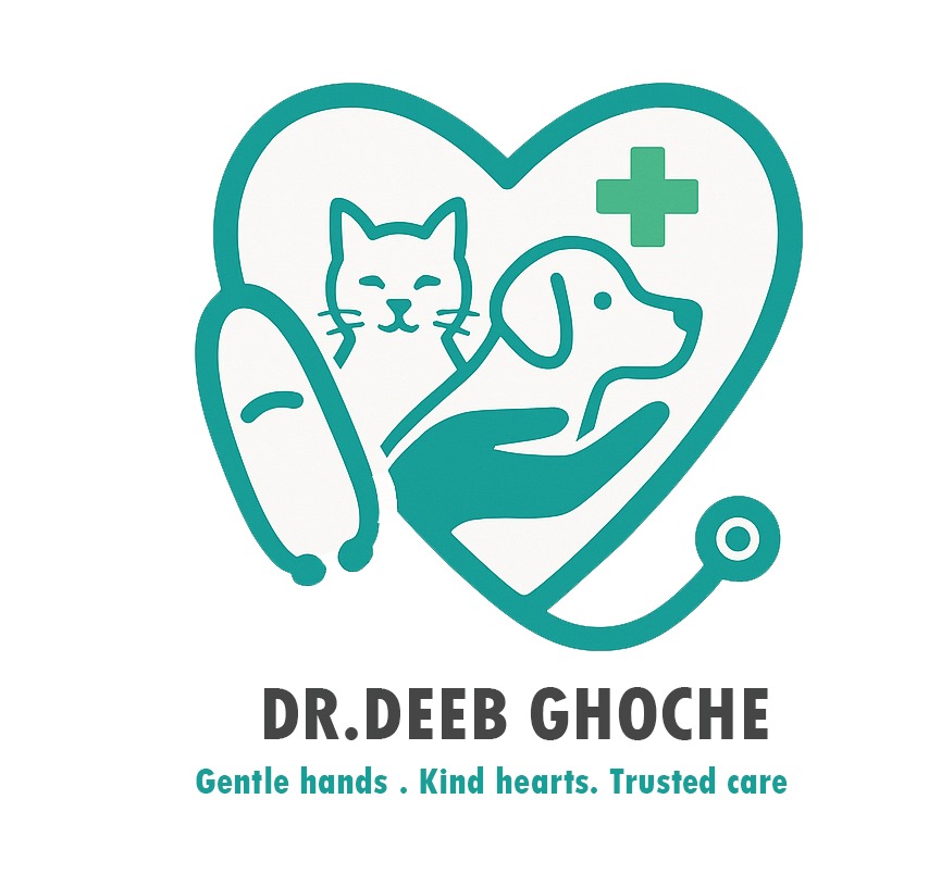 Animal Health Hospital - Saida