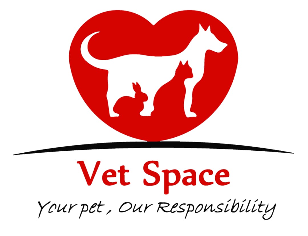 Vet Space Veterinary Clinic - Bikfaiya