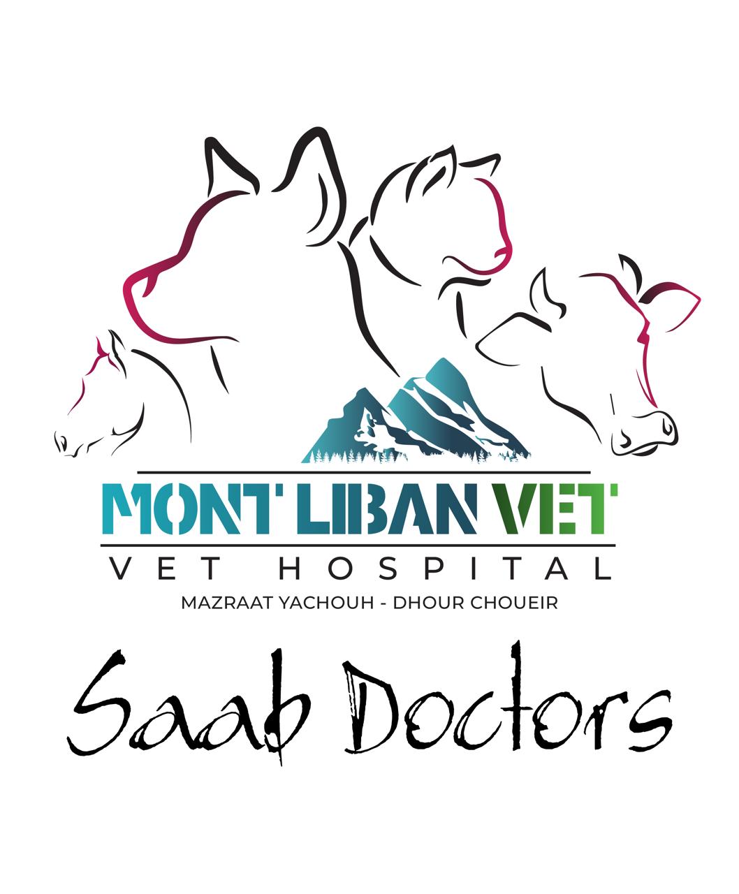 Mount Lebanon Vet - Choueir