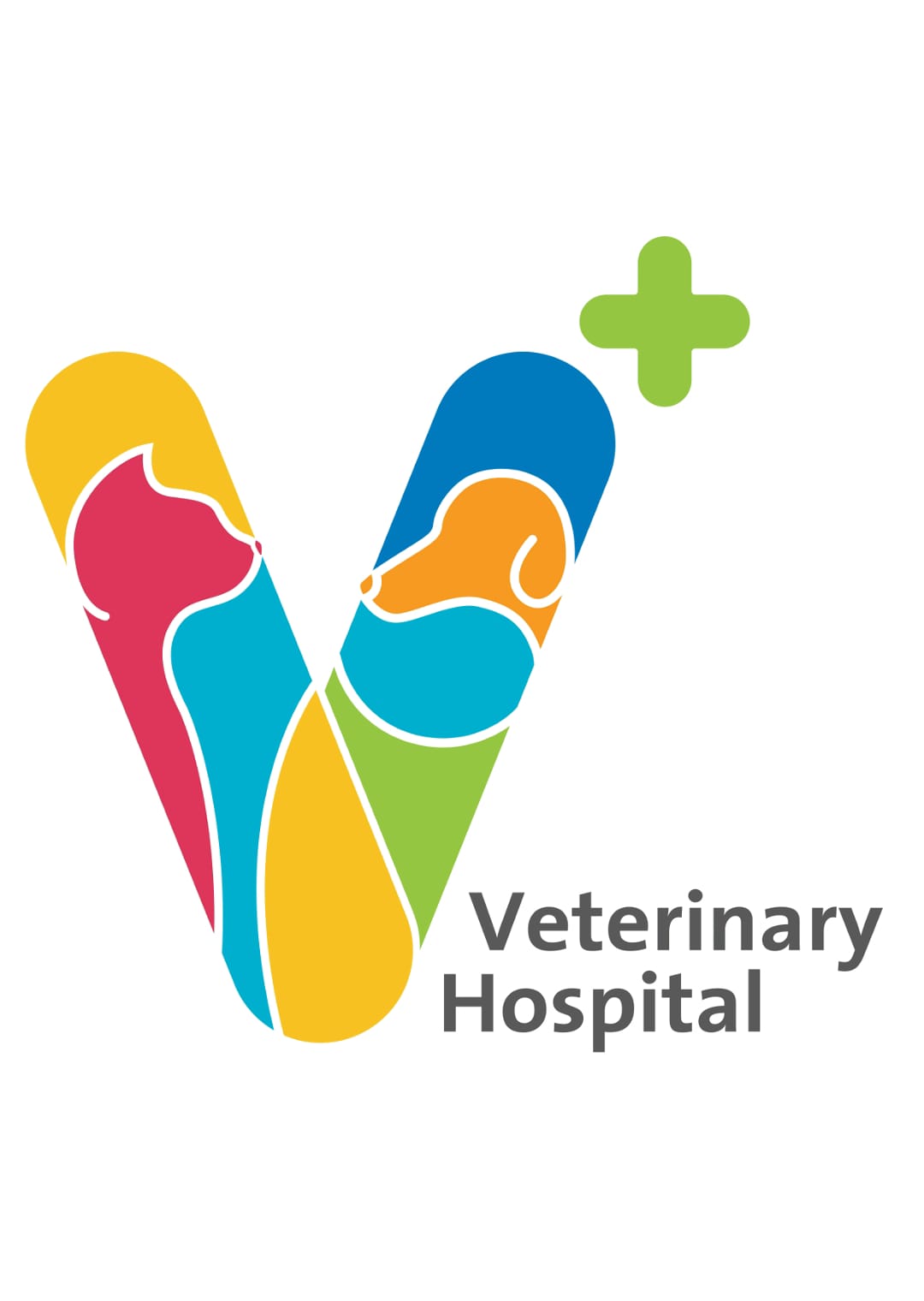 V Plus Veterinary Hospital - Boutchay