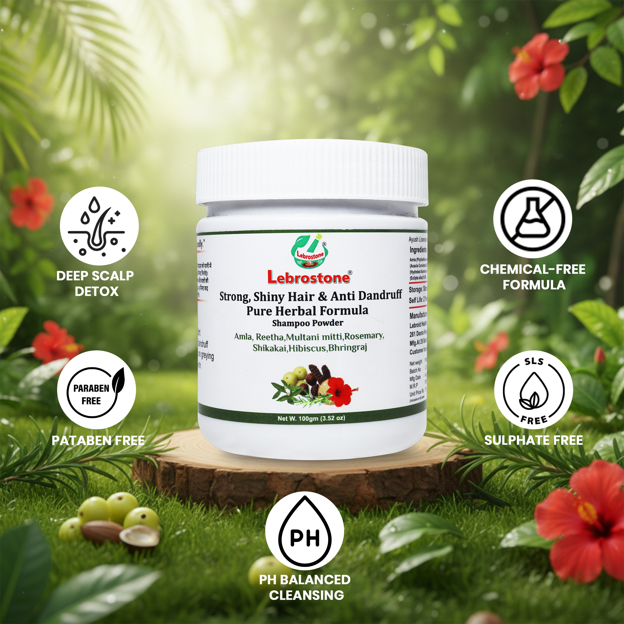 Lebrostone Strong, Shiny Hair & Anti Dandruff Shampoo Powder | Pure Herbal Formula with Amla, Reetha, Shikakai & Bhringraj | Natural Hair Growth & Scalp Cleansing | Chemical-Free Powder Shampoo - 100g