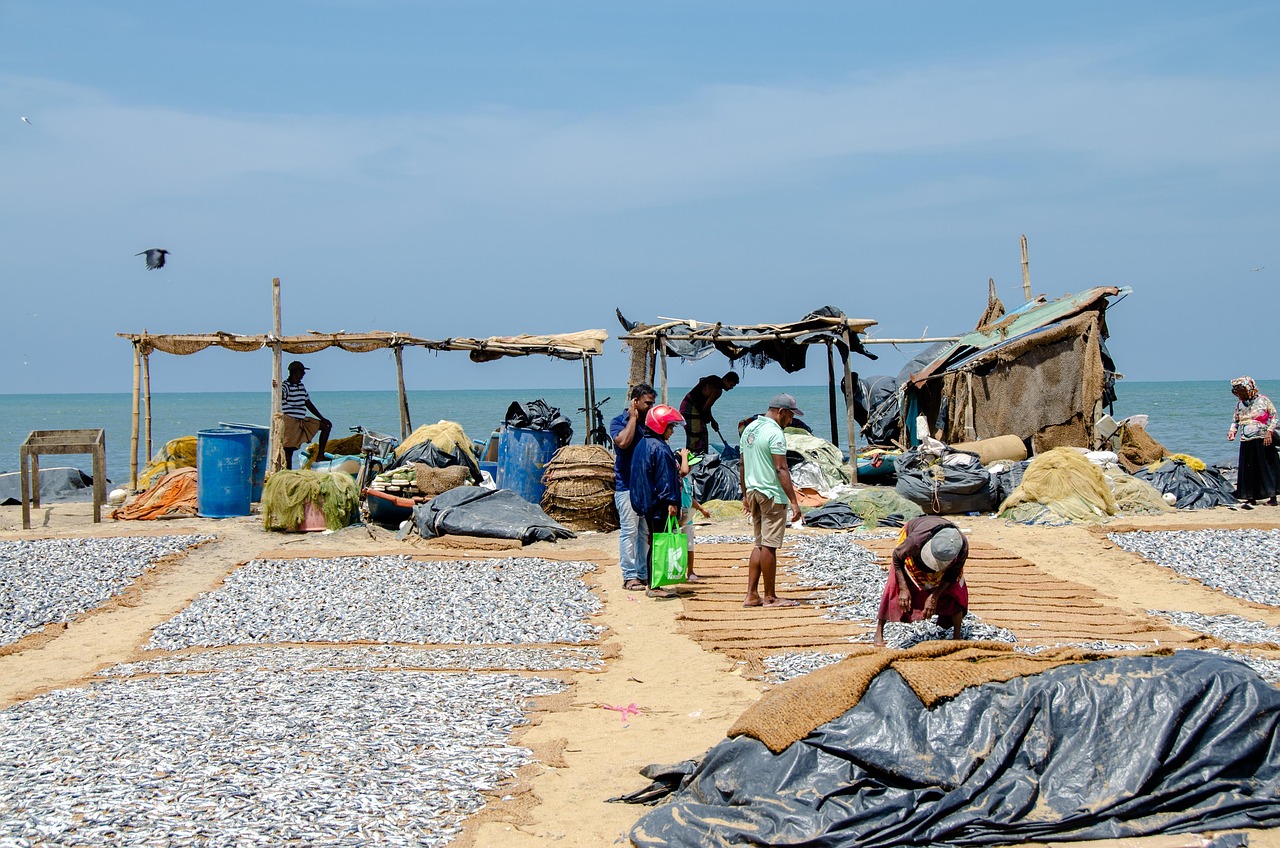 Negombo Private Tour