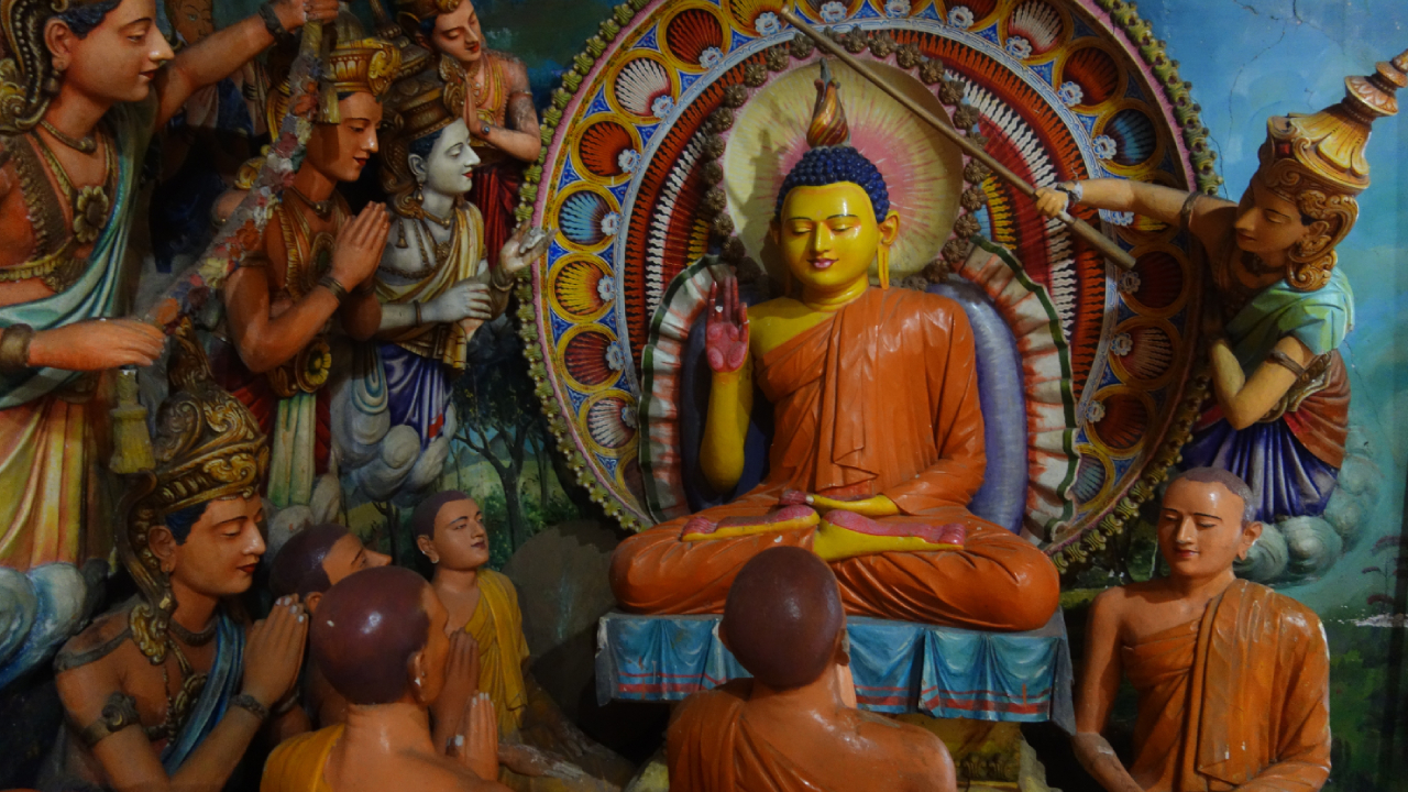 Negombo Private Tour