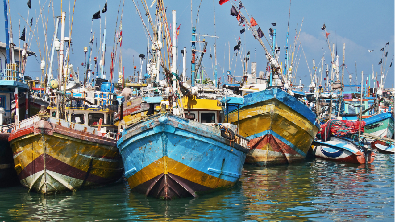 Negombo Private Tour