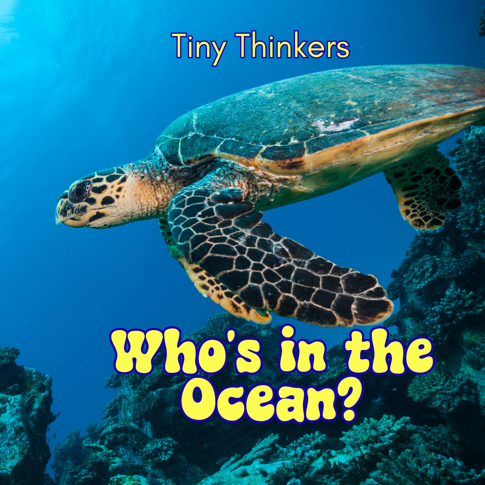 Tiny Thinkers: Who's in the Ocean?