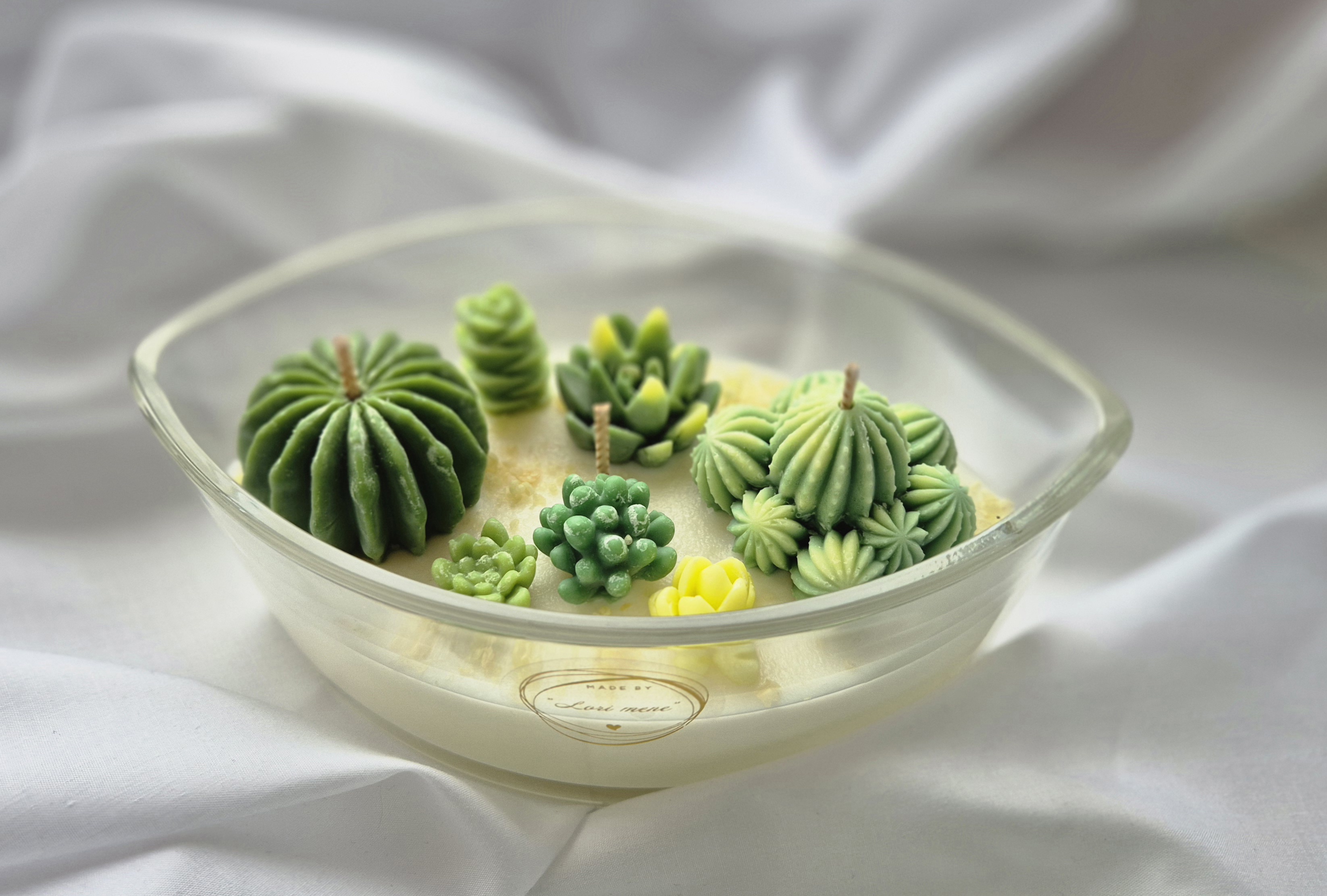 Žvakė - Sukulentai