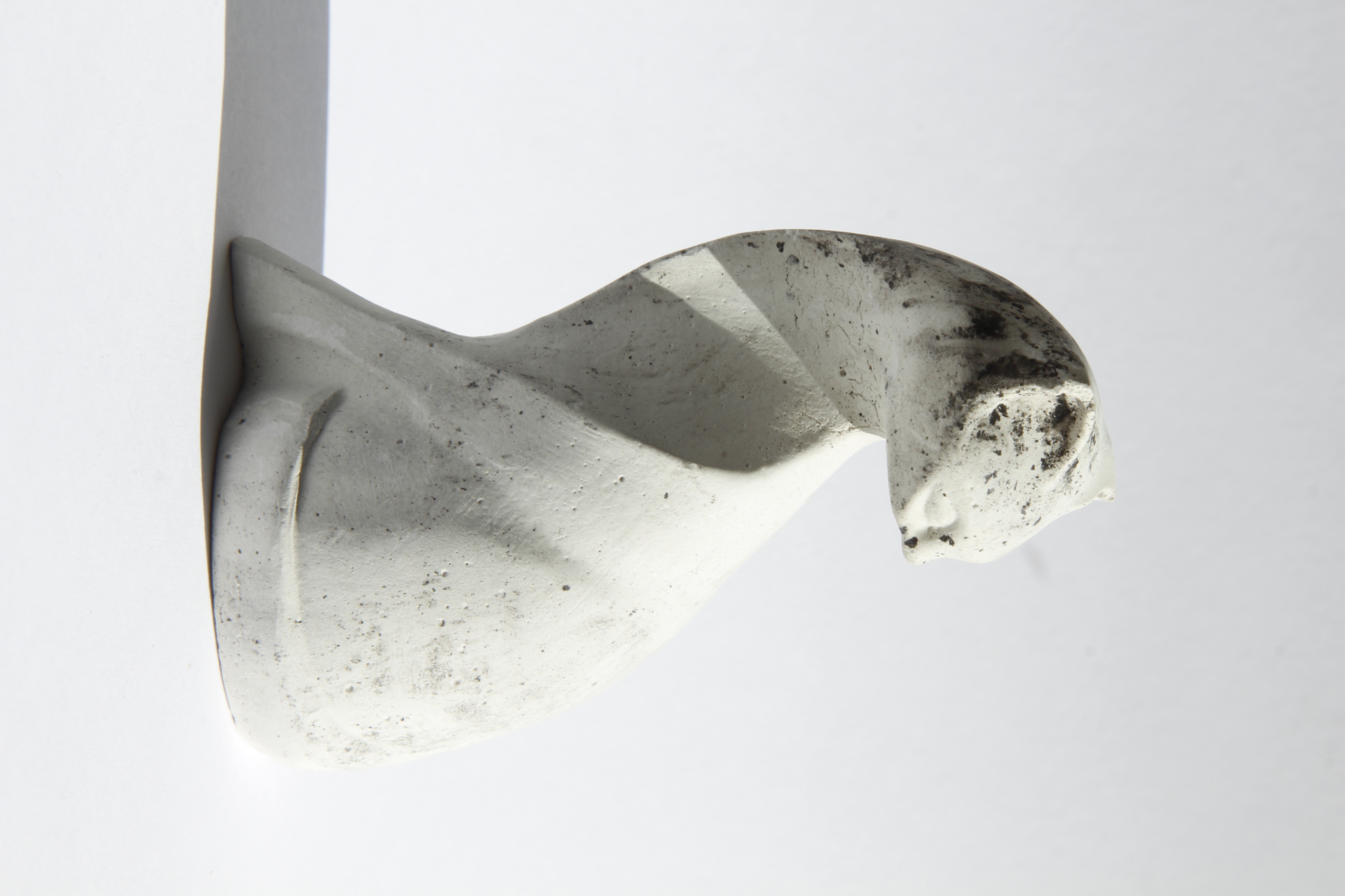 Gipso liejinys - Katė