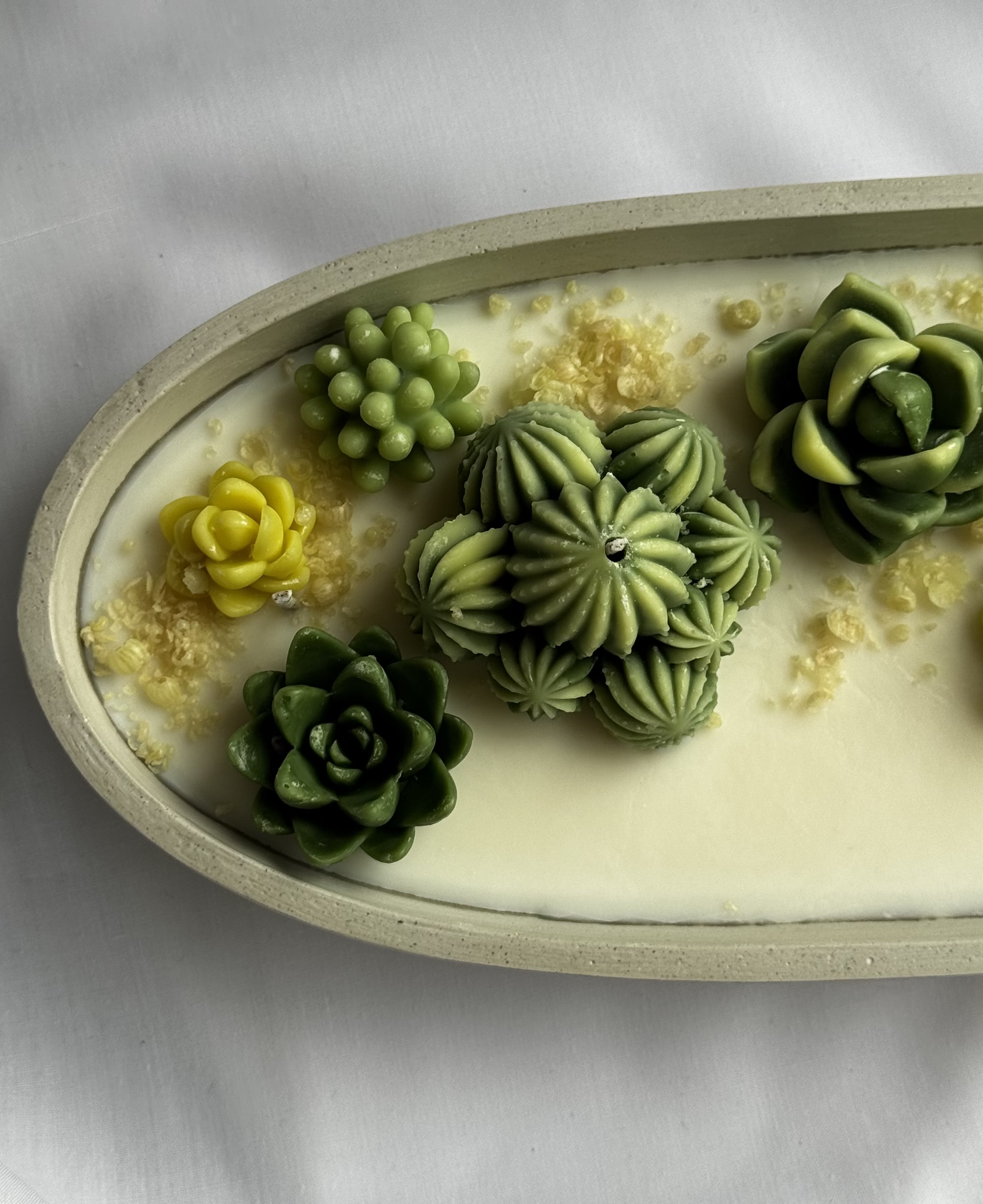 Žvakės su sukulentais