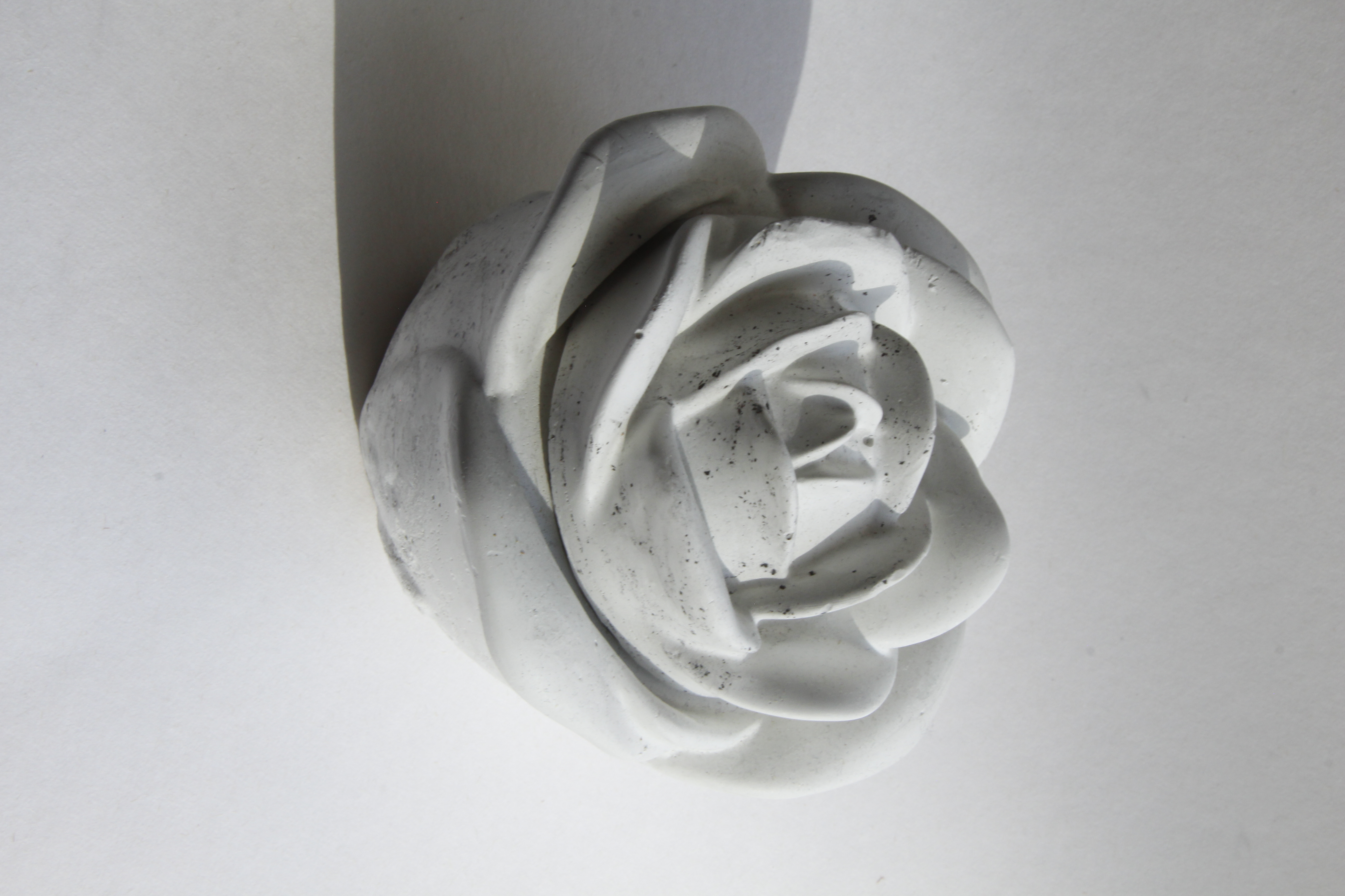 Dekoratyvinė rožė iš gipso