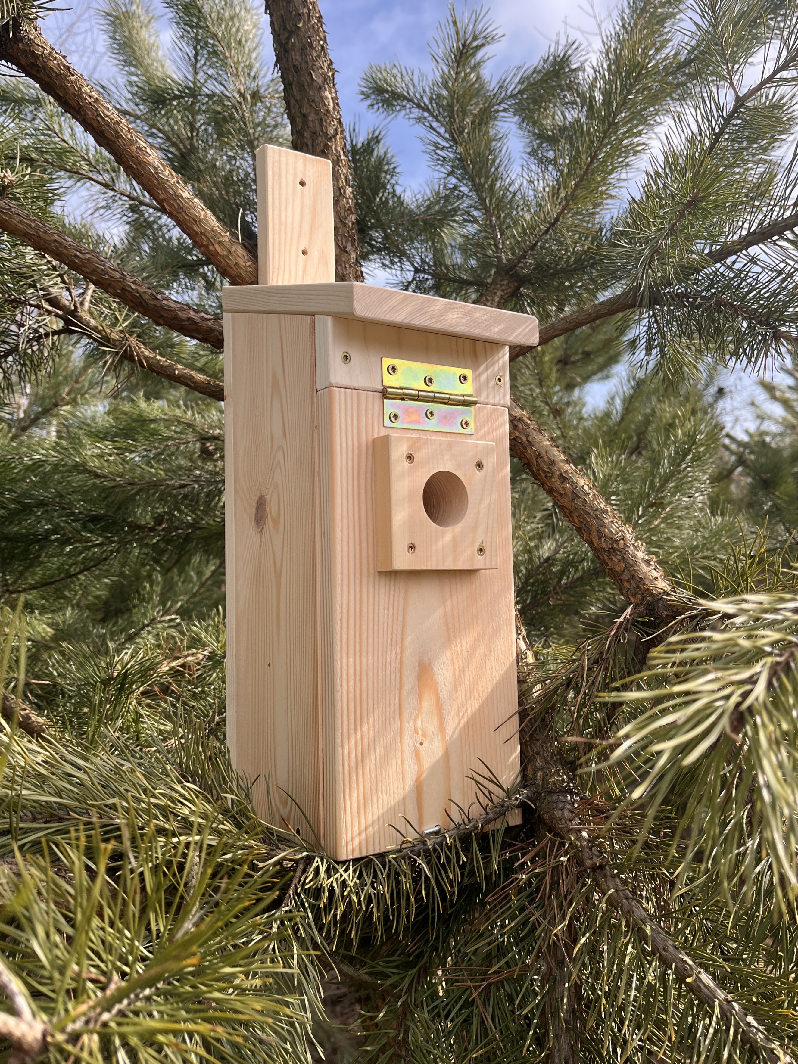 Budka lęgowa dla ptaków – typ A