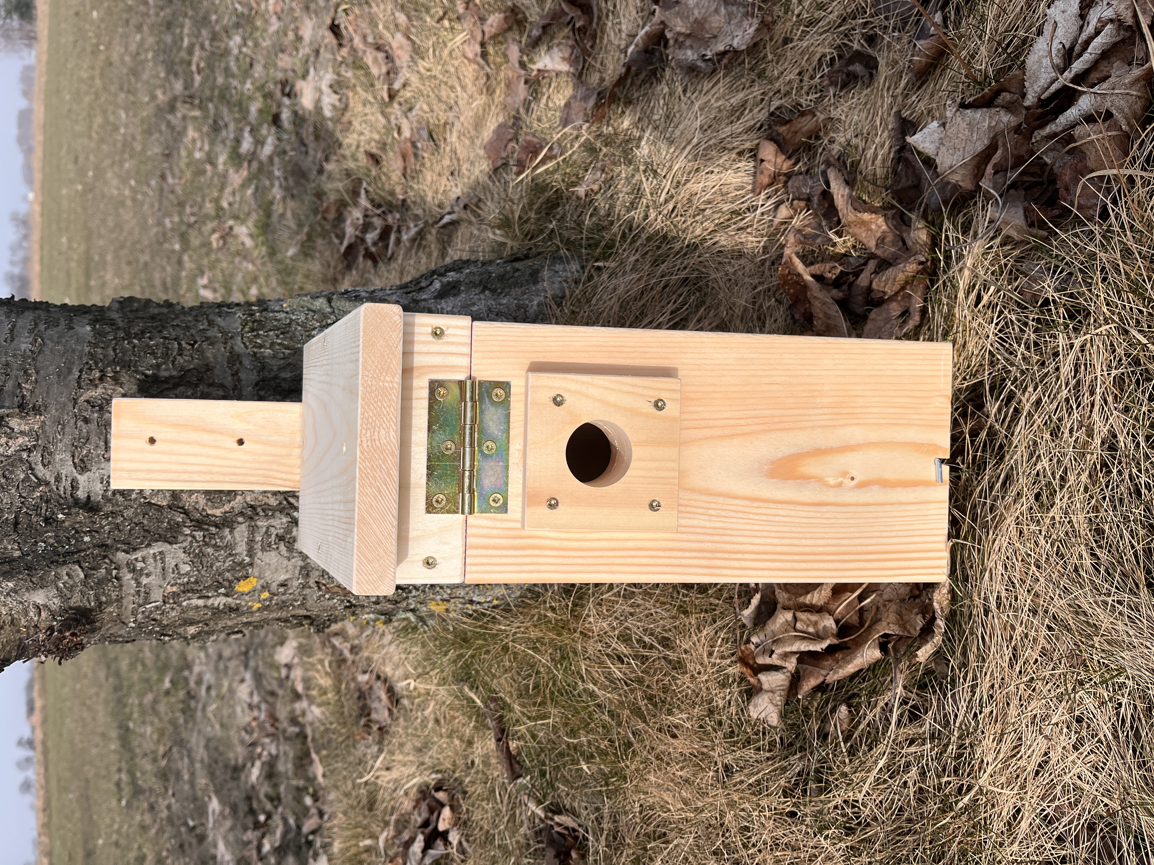 Budka lęgowa dla ptaków – typ A