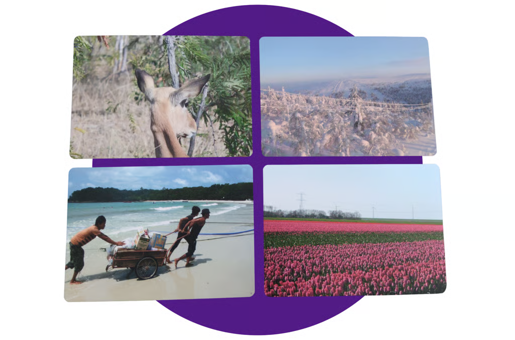 BewustZijn | Coachkaarten