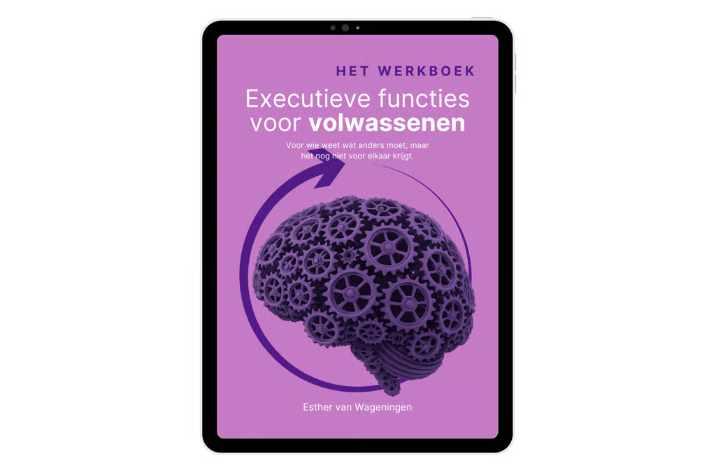 E-book (PDF) | Executieve functies voor volwassenen