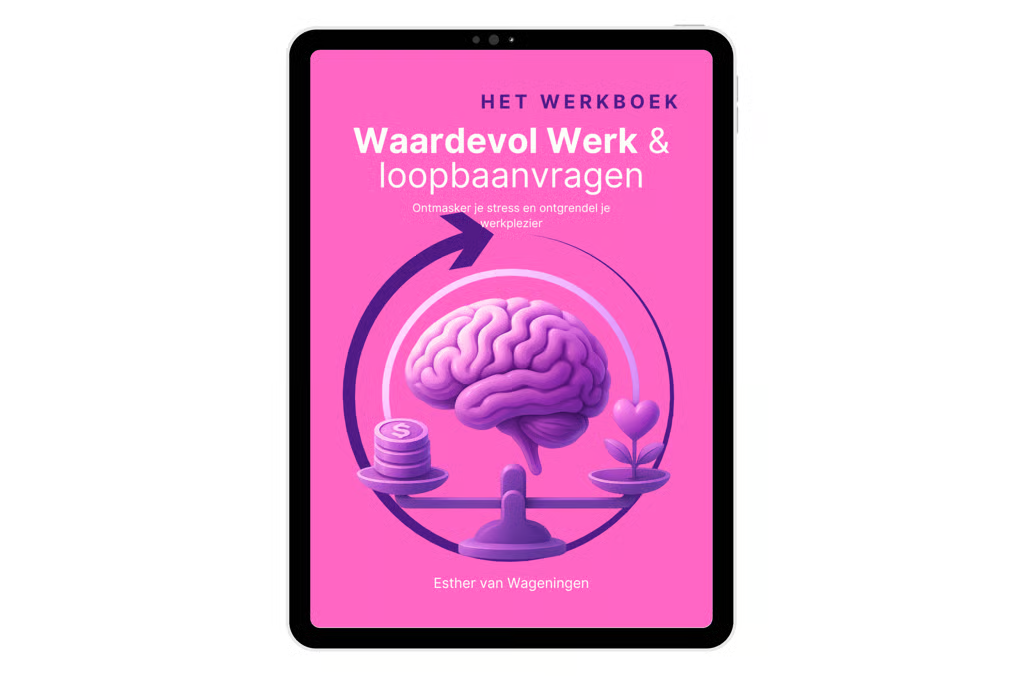 E-book (PDF) | Waardevol Werk & loopbaanvragen