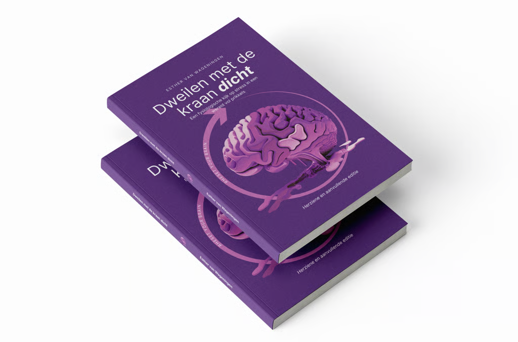 Paperback | Dweilen met de kraan dicht | 2e editie