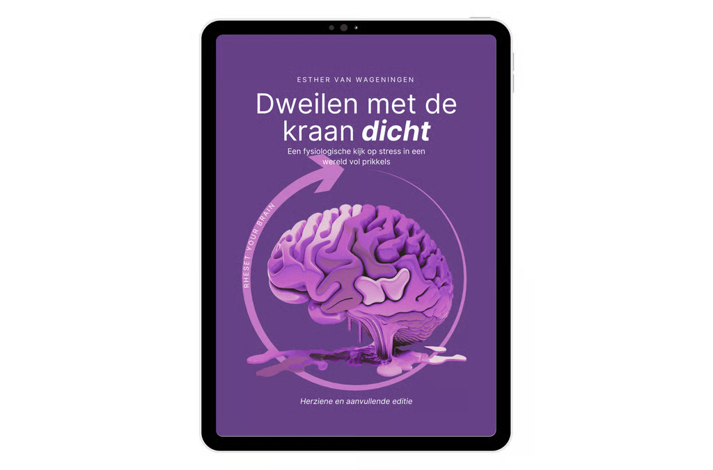 E-book (PDF) | Dweilen met de kraan dicht