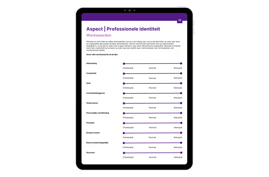 E-book (PDF) | Waardevol Werk & loopbaanvragen