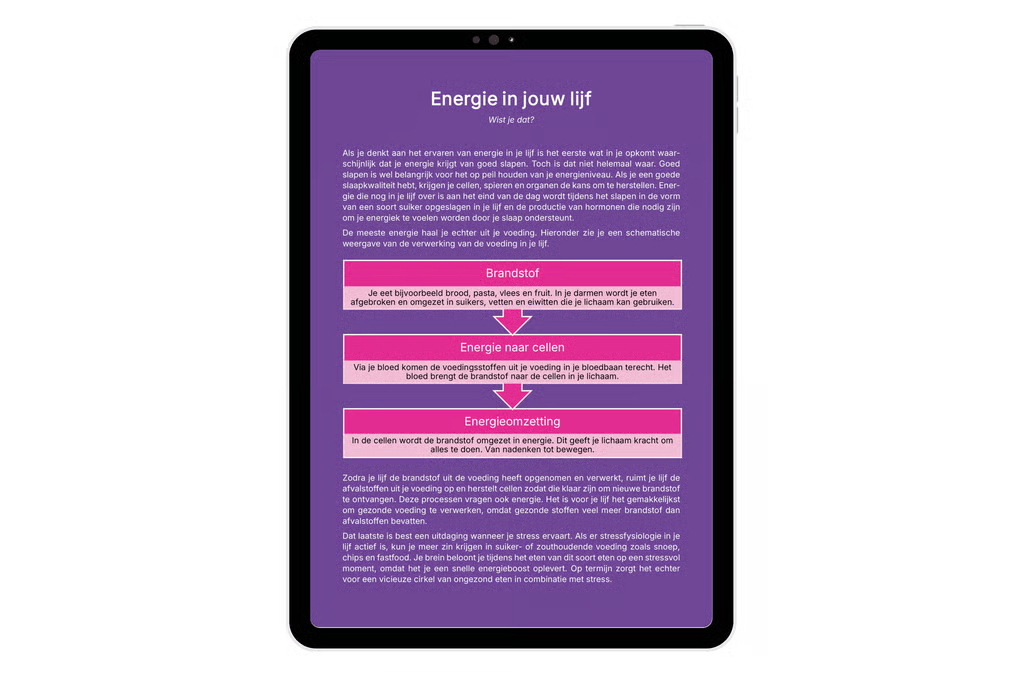 E-book (PDF) | Dweilen met de kraan dicht