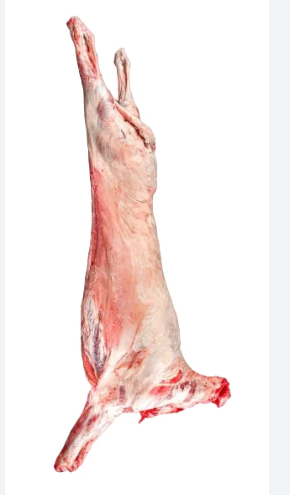Premium Halal Whole Lamb