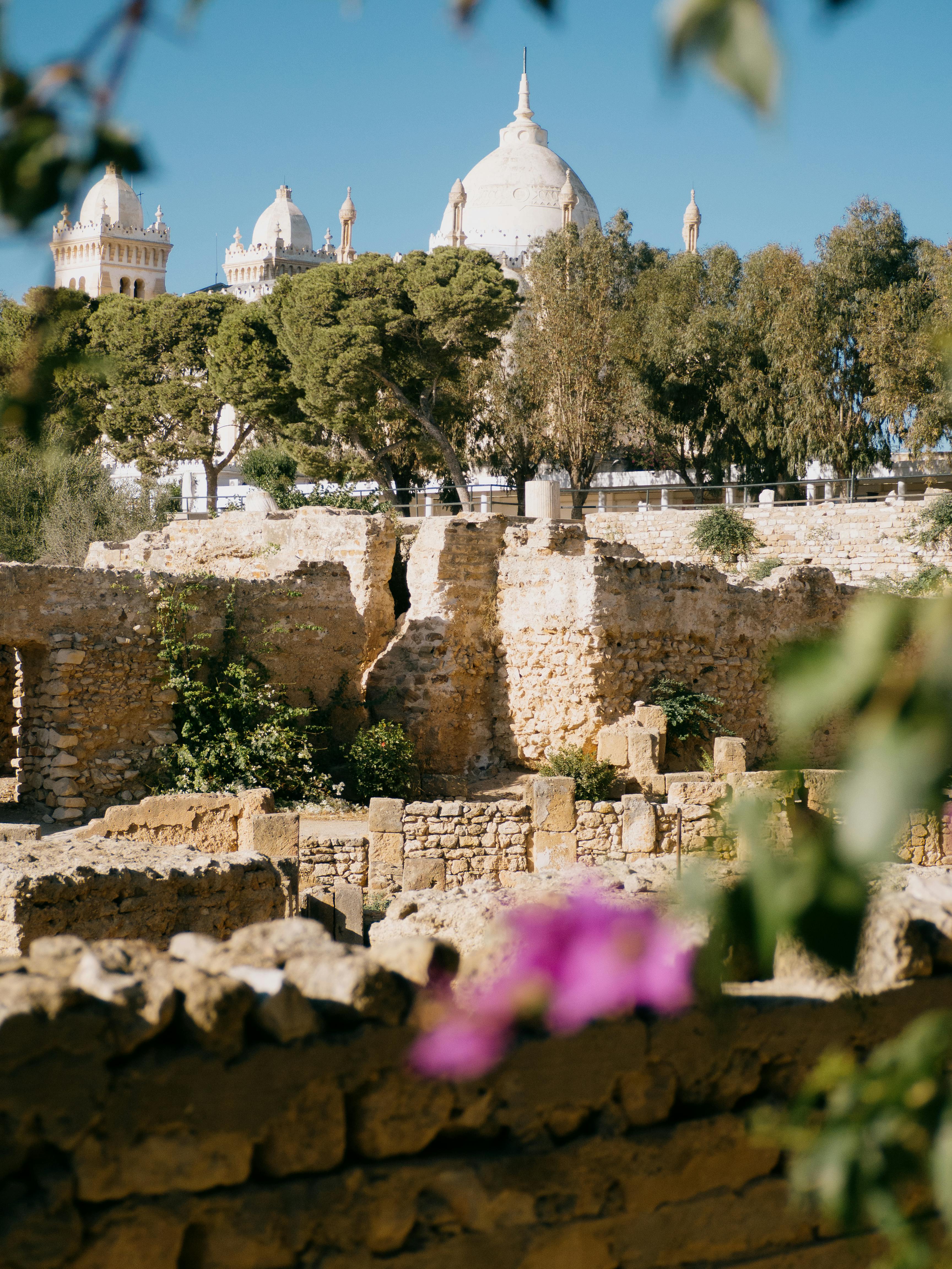 Tunisie – Carrefour des civilisations et terre d’islam