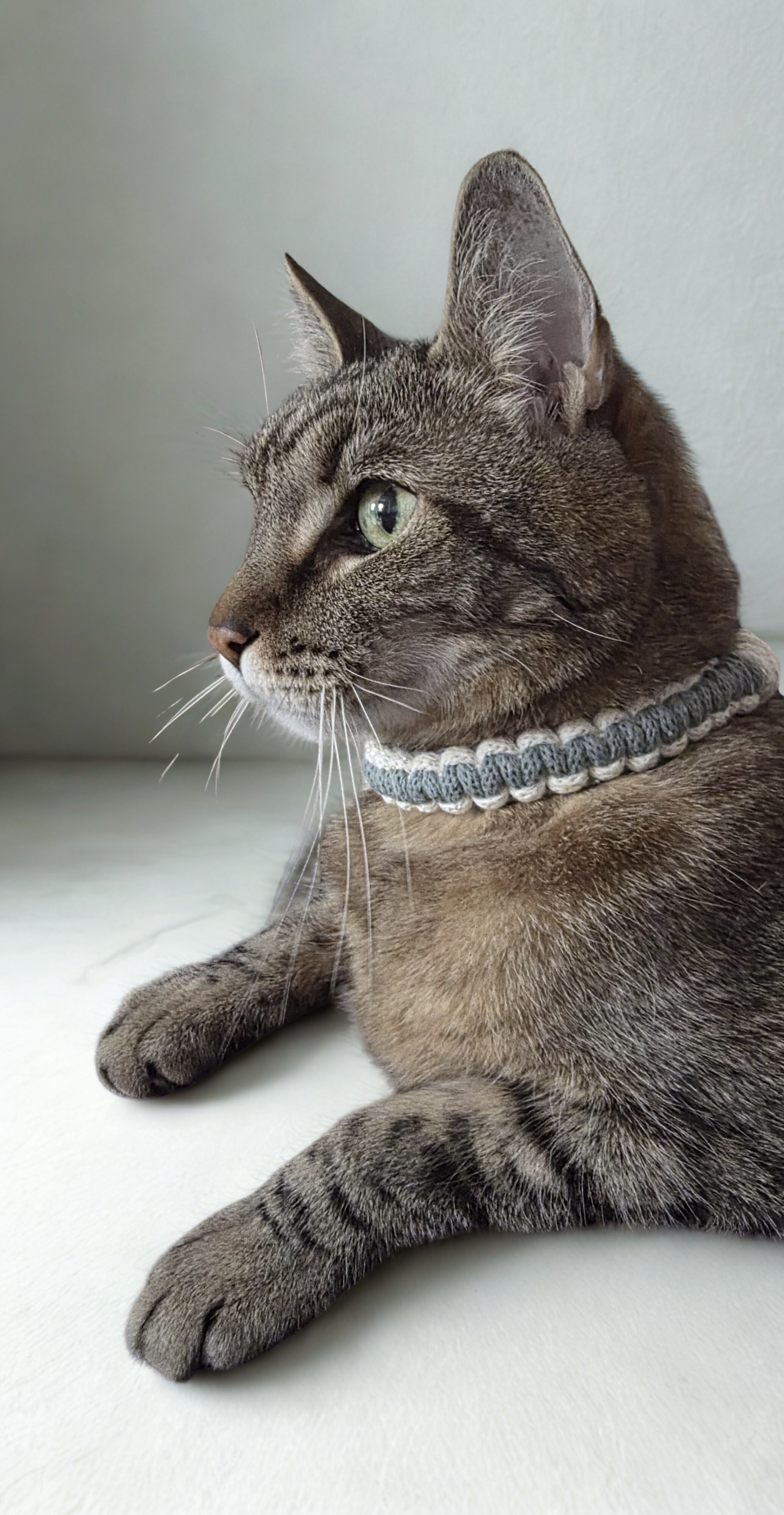 Handwoven Pet Collar - XXS