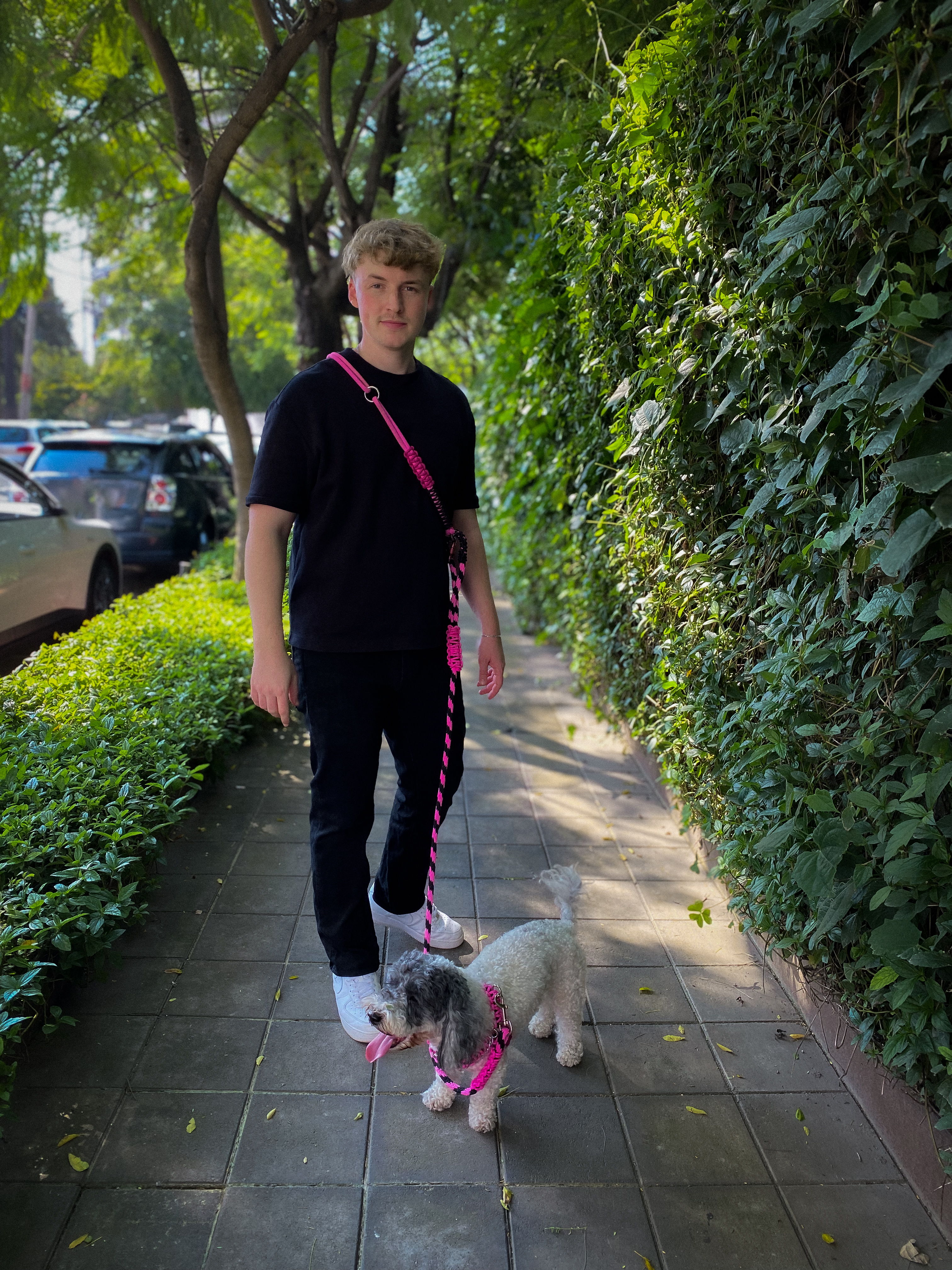 STRUT STRAP