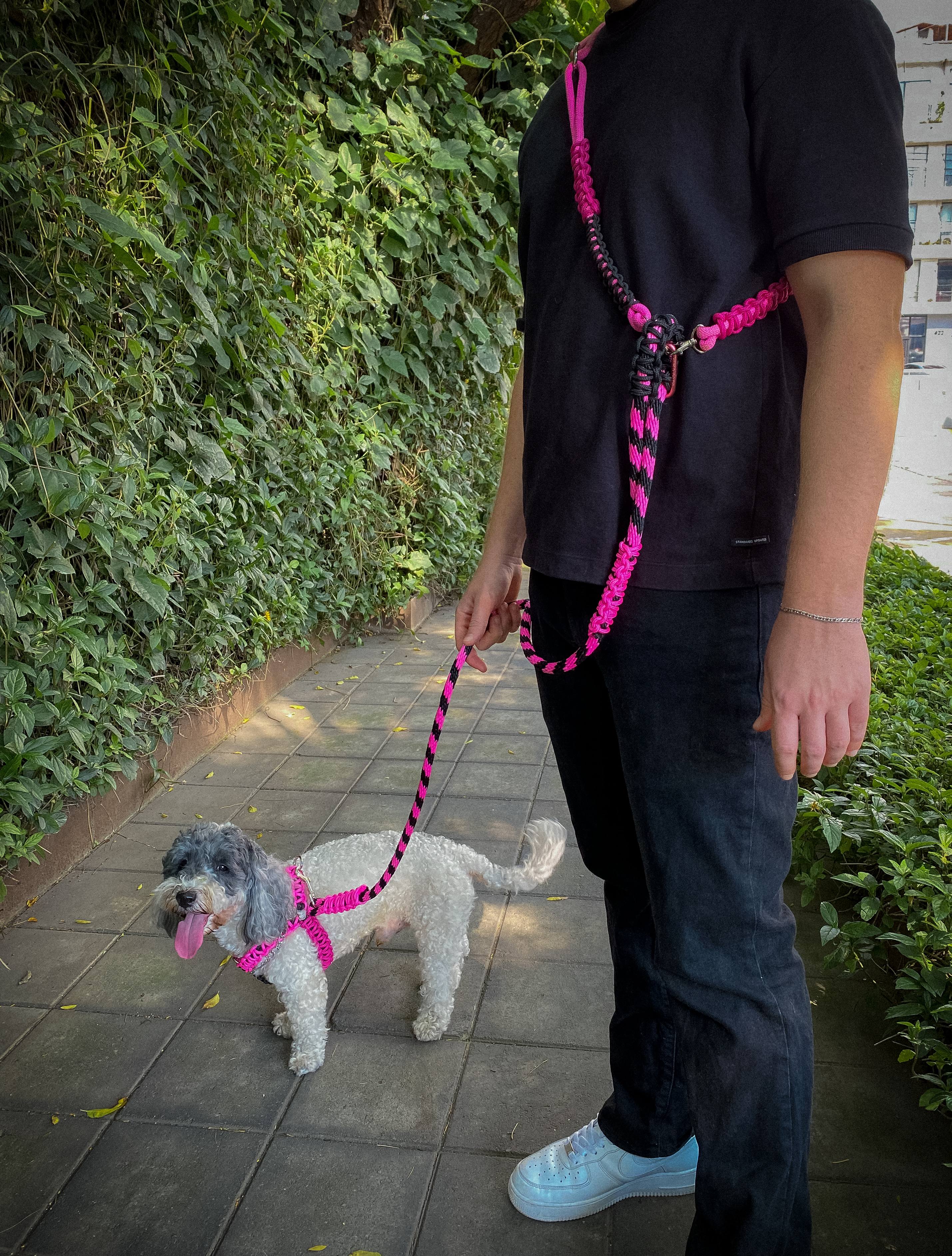 STRUT STRAP