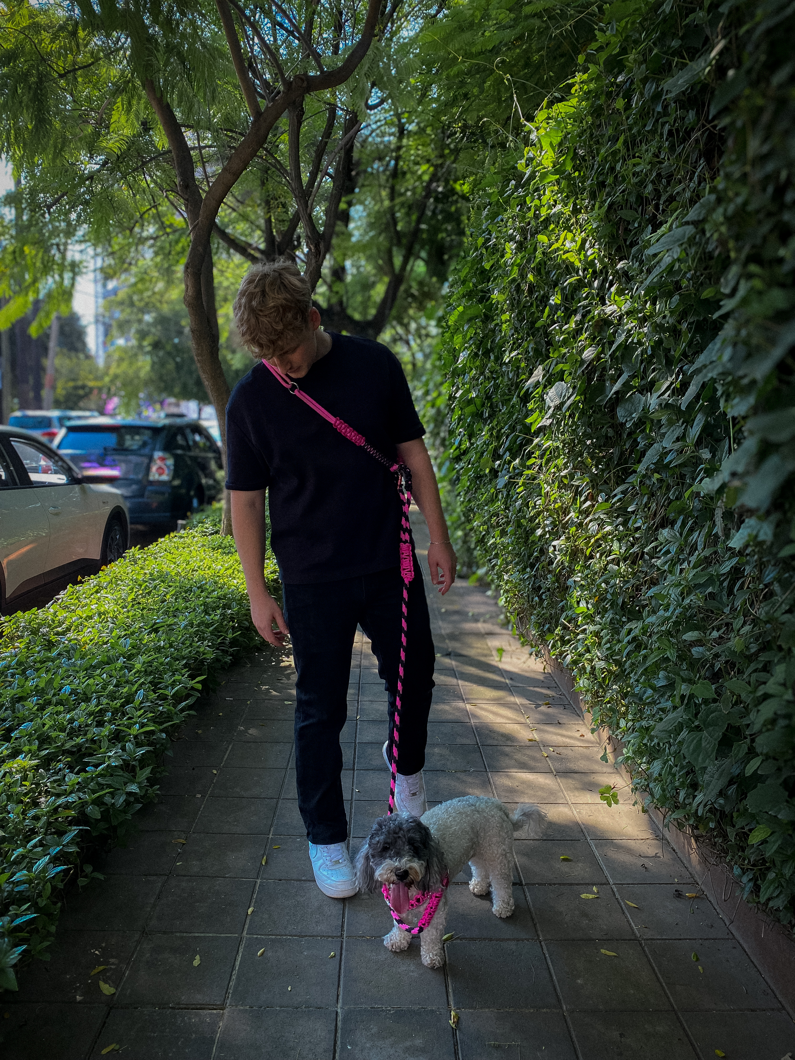STRUT STRAP