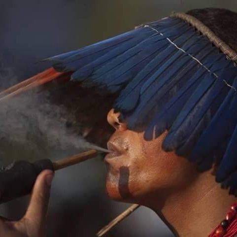 Cachimbos Xamanicos