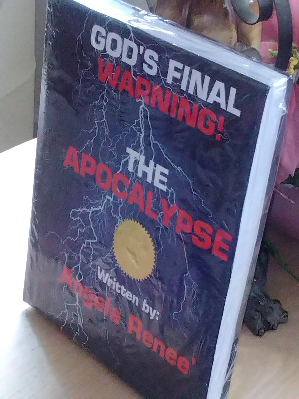 God’s Final Warning! The Apocalypse ebook