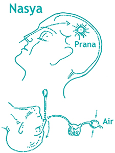 Nasya ( Nasal treatment )
