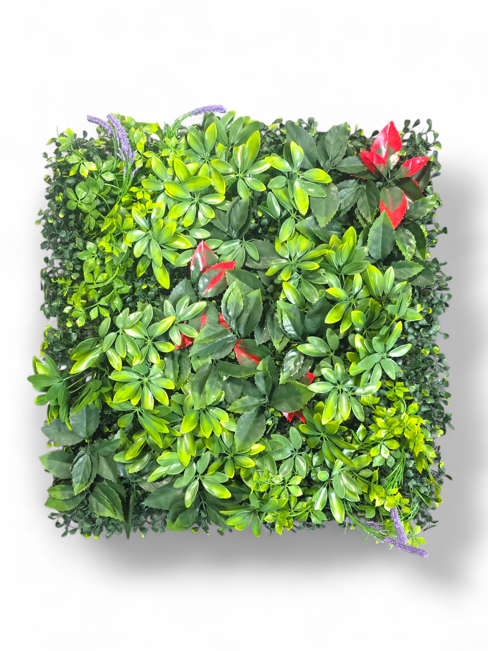 Premium Artificial Grass Wall Panel 500mmx500mm.