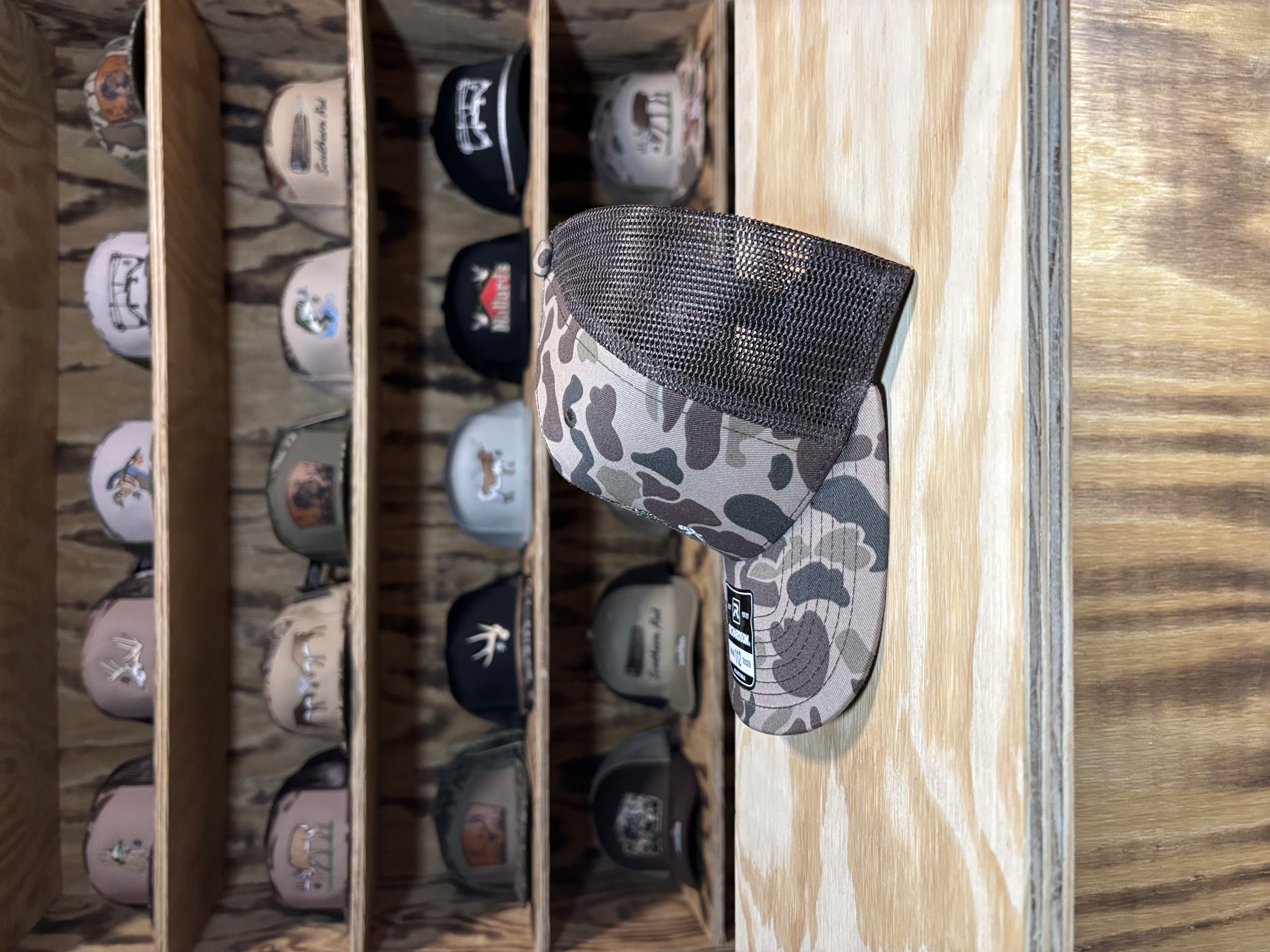 Lab With Mallard Hat