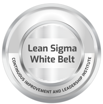 Lean Six Sigma White Belt