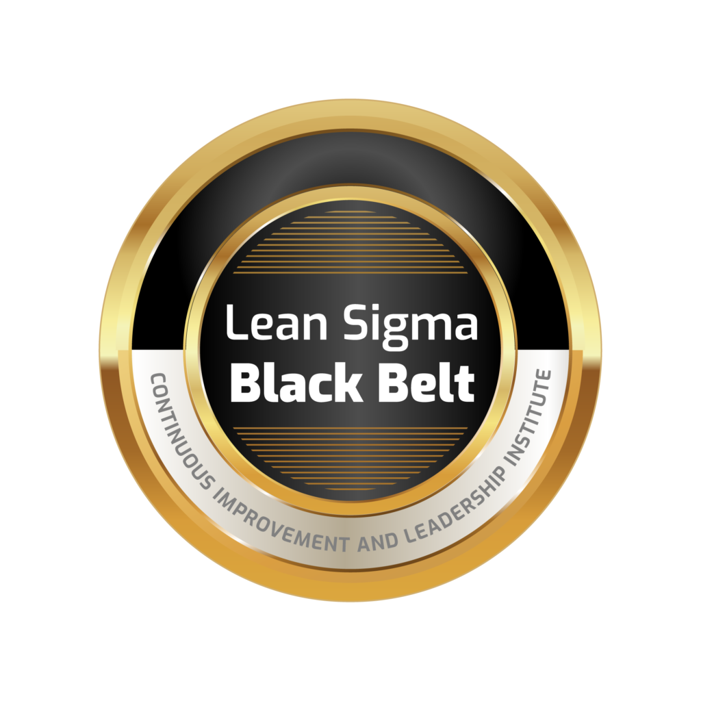 Lean Six Sigma Black Belt