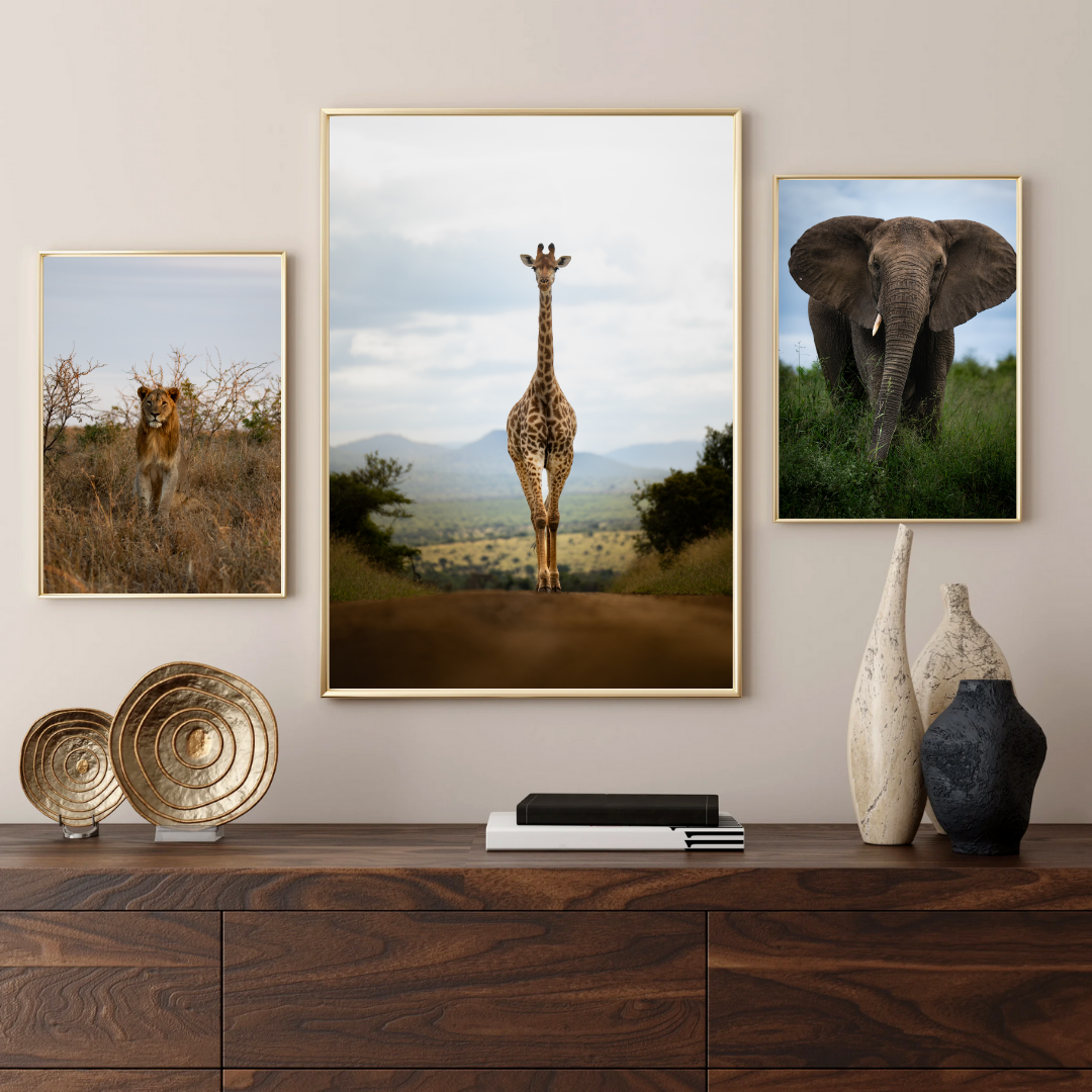 Giraffe Portrait