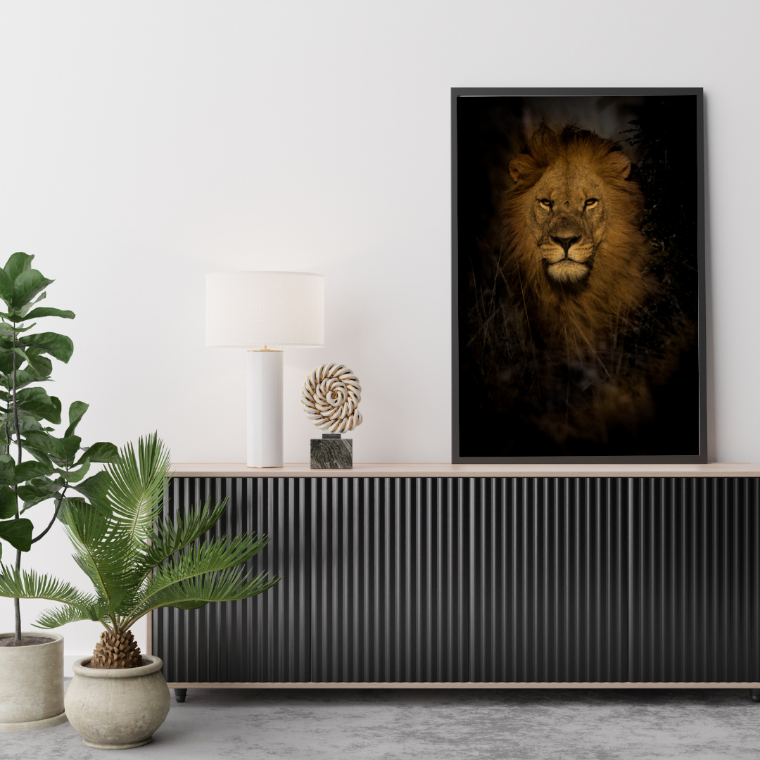 Lion Portrait